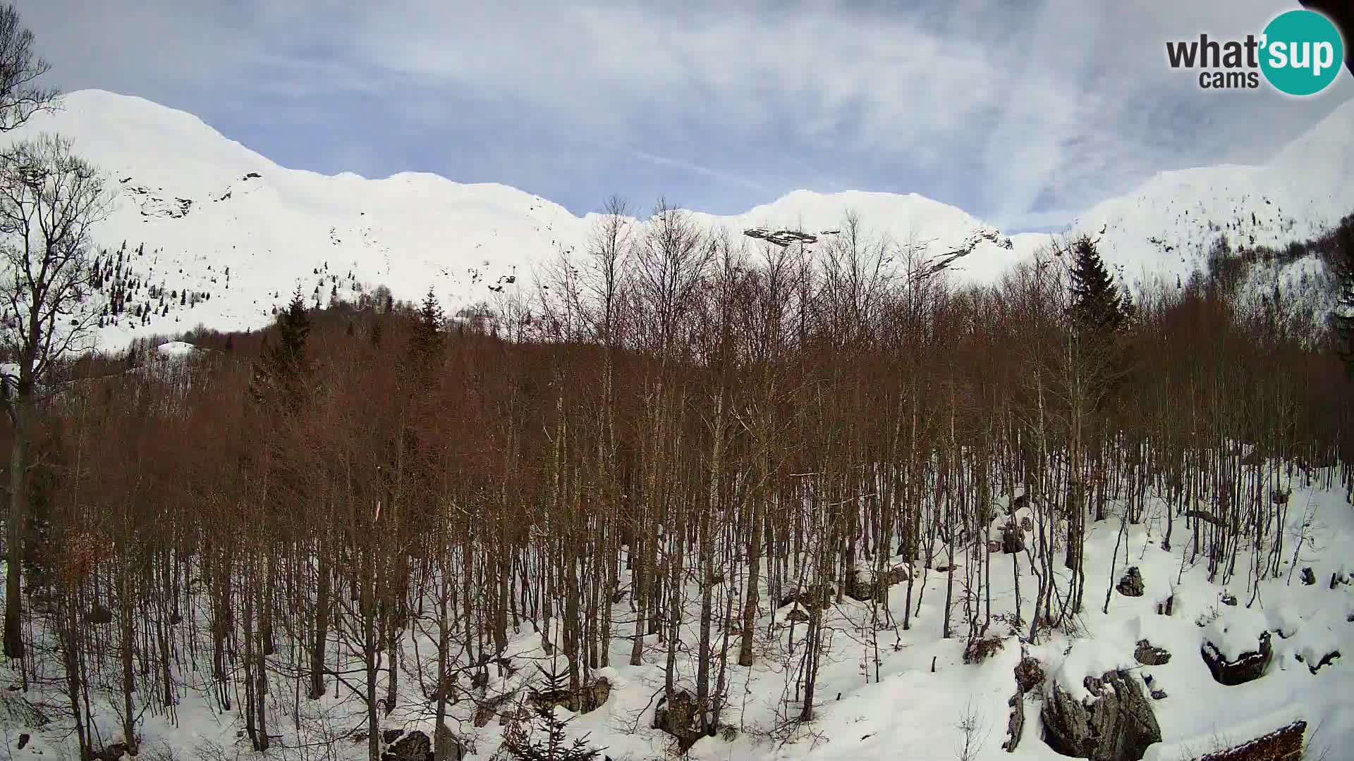 PLANINA RAZOR Live Cam (1315) | vista su Vogel e Globoko