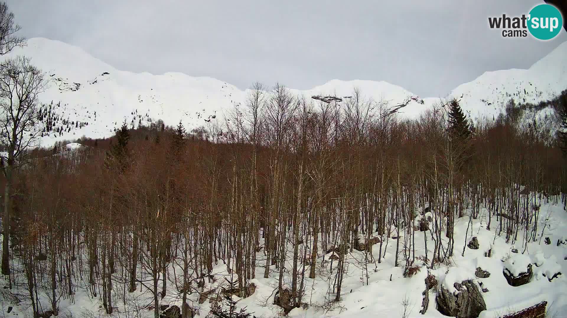 PLANINA RAZOR web kamera (1315) | pogled na Vogel i Globoko