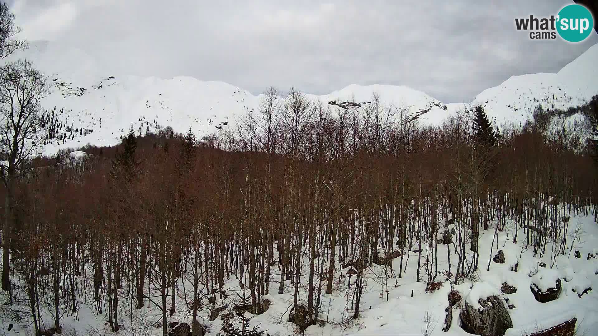 PLANINA RAZOR Live Cam (1315) | vista su Vogel e Globoko