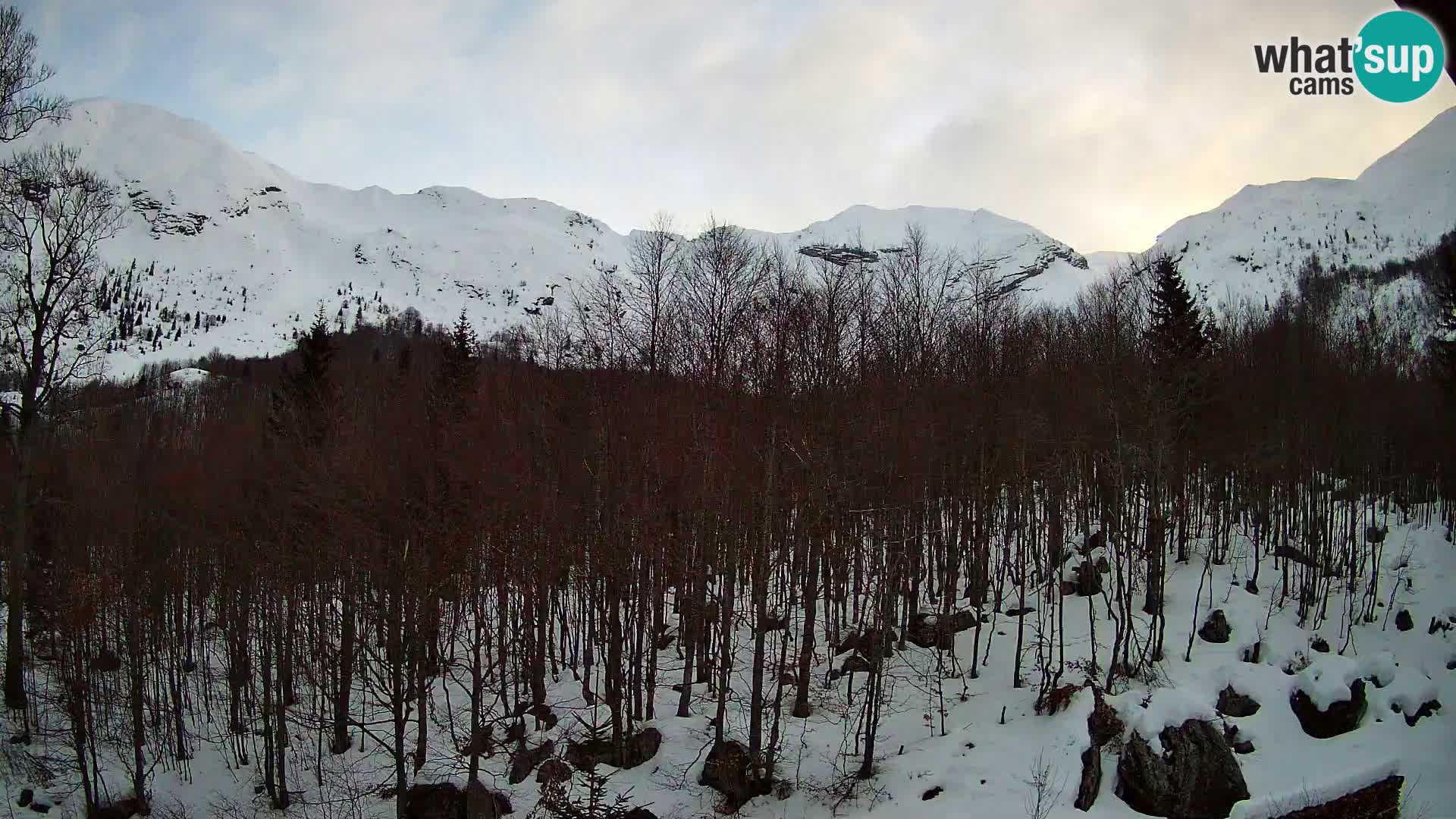 PLANINA RAZOR kamera (1315) | pogled na Vogel in Globoko