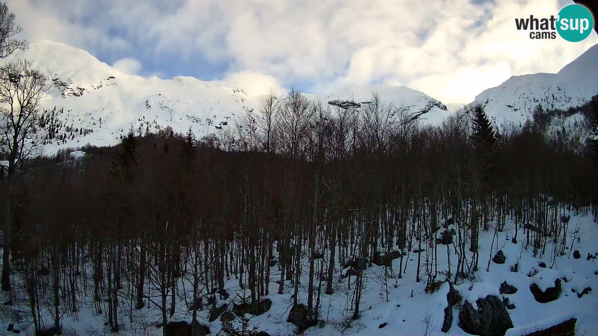 PLANINA RAZOR webcam (1315) | view to Vogel and Globoko