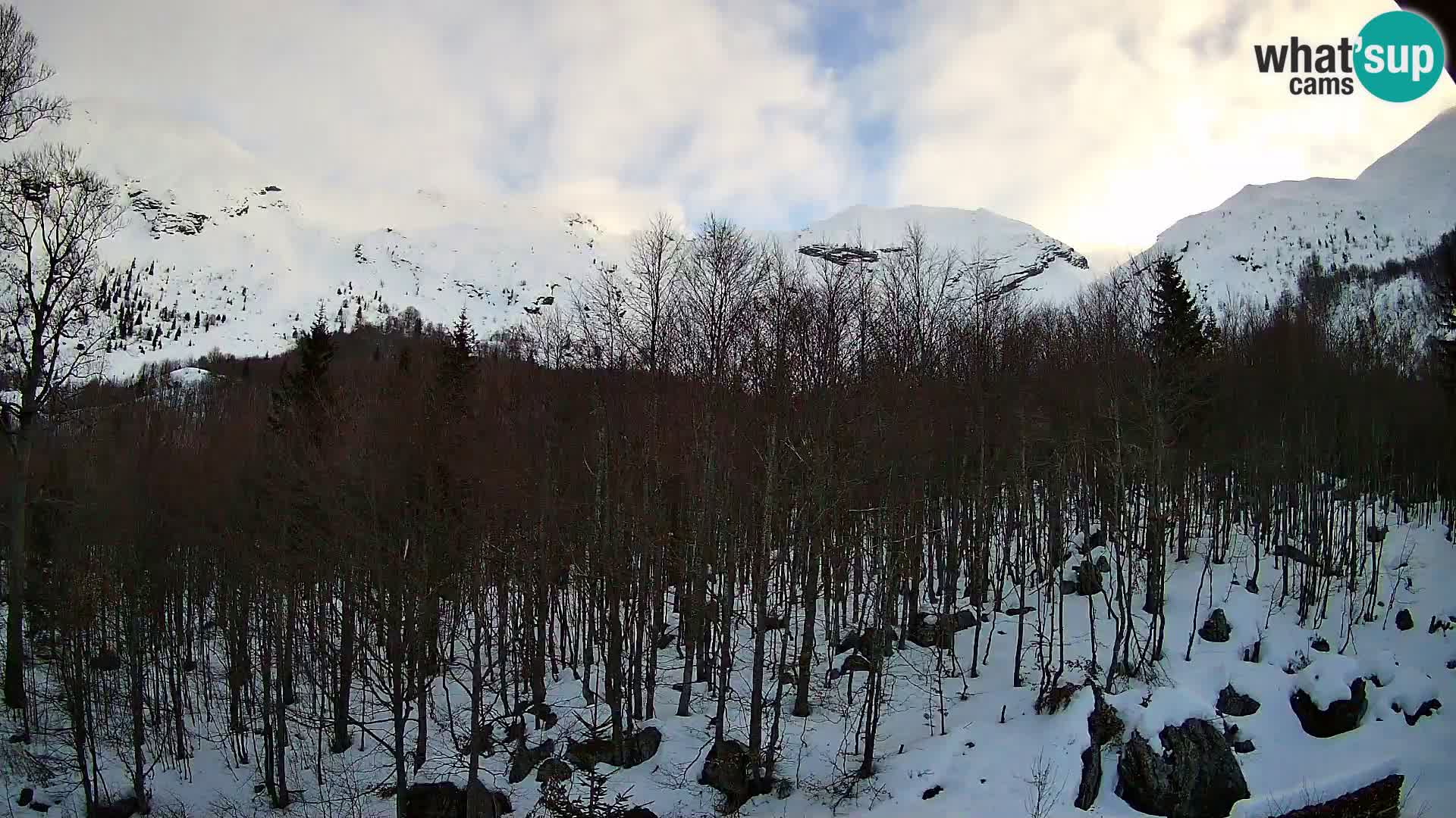 PLANINA RAZOR webcam (1315) | view to Vogel and Globoko