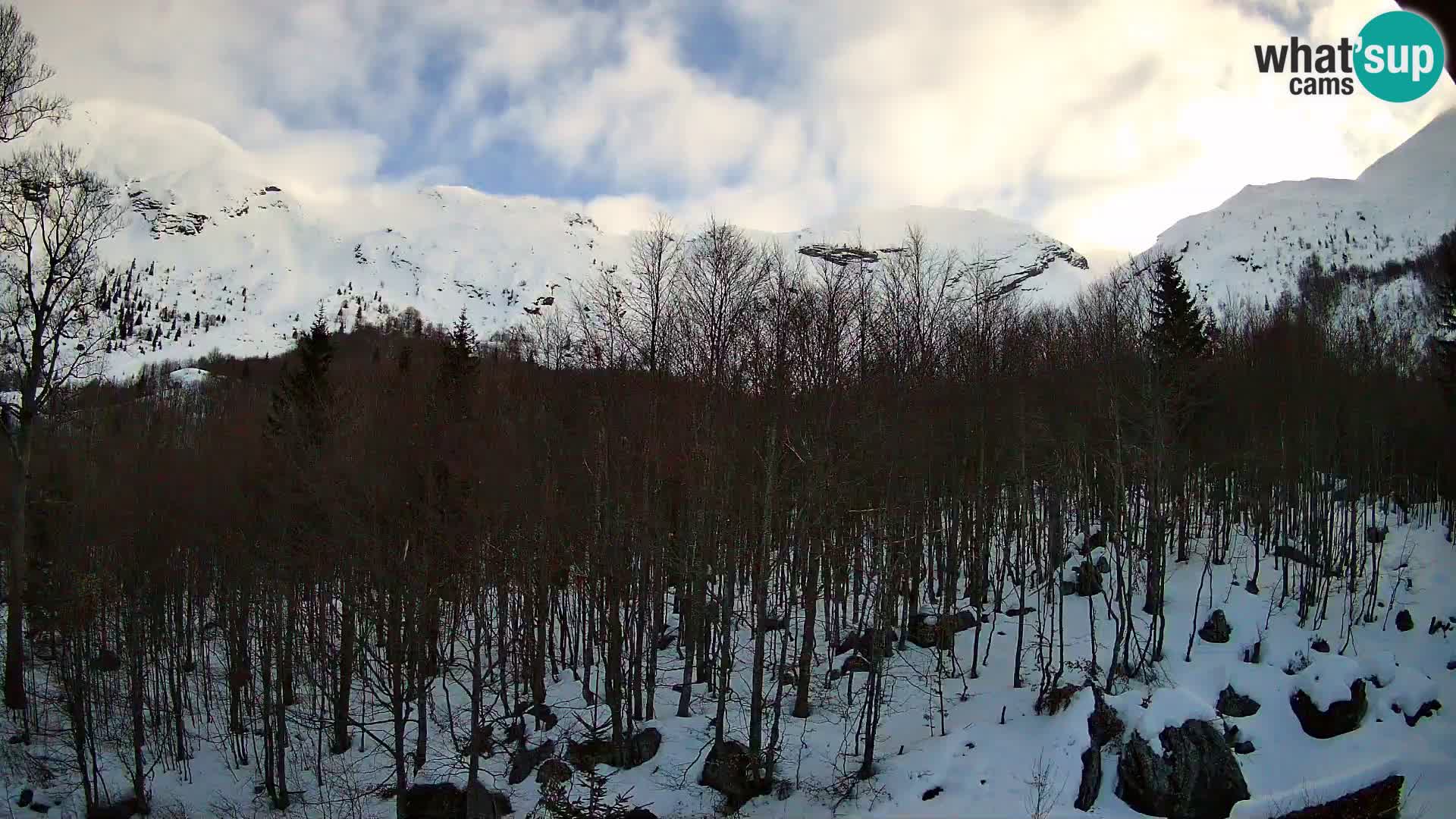 Livecam PLANINA RAZOR (1315) | vue sur Vogel et Globoko