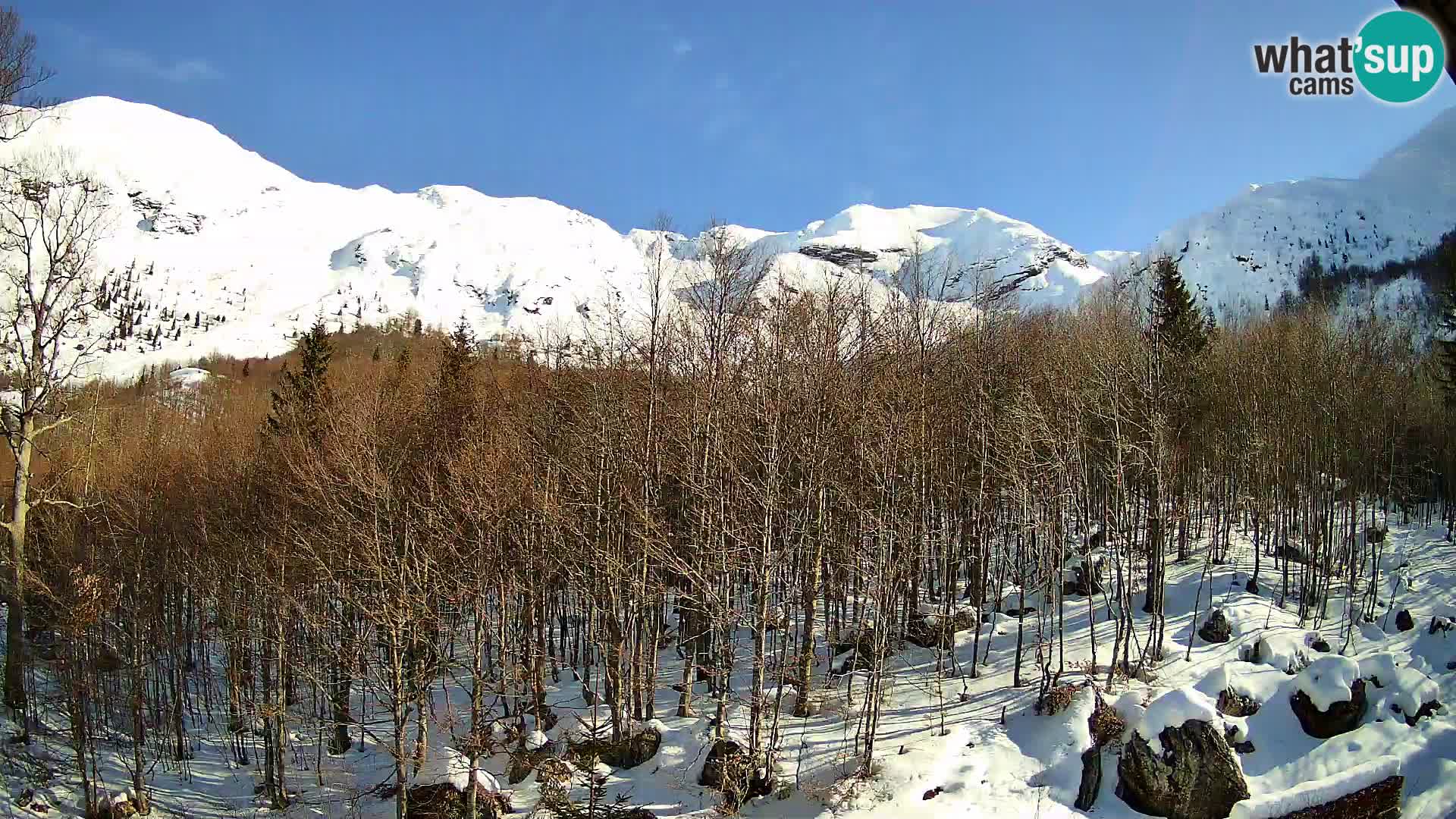 Webcam PLANINA RAZOR (1315) | Blick auf Vogel und Globoko