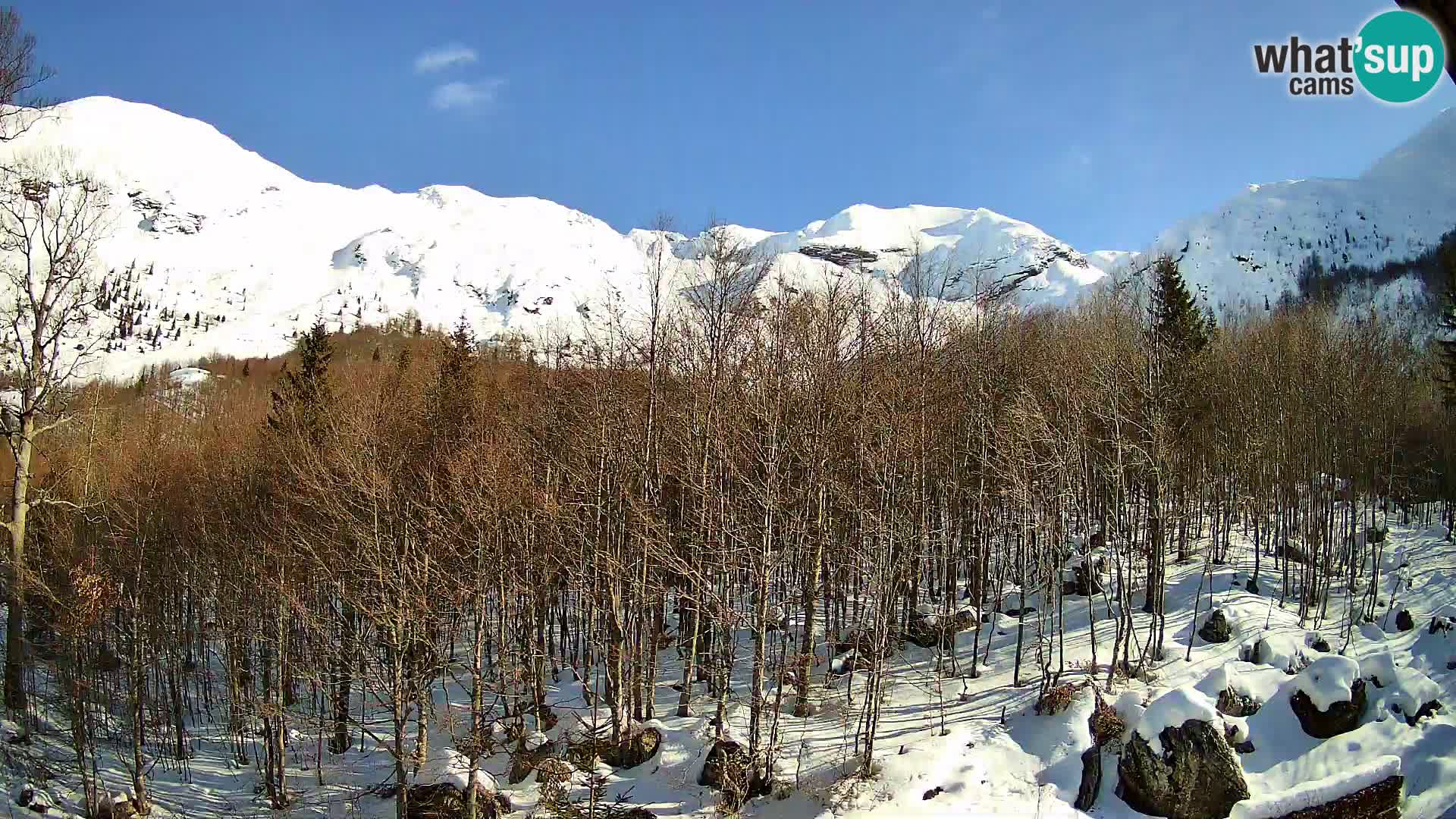 PLANINA RAZOR Live Cam (1315) | vista su Vogel e Globoko