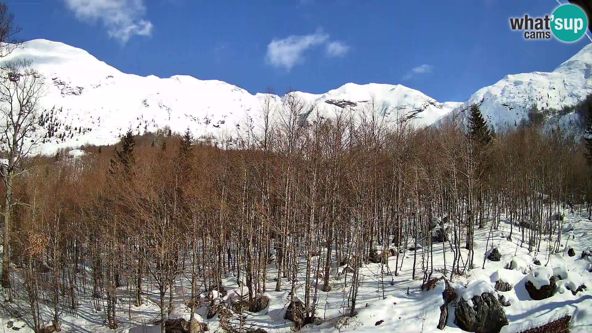 Webcam PLANINA RAZOR (1315) | Blick auf Vogel und Globoko