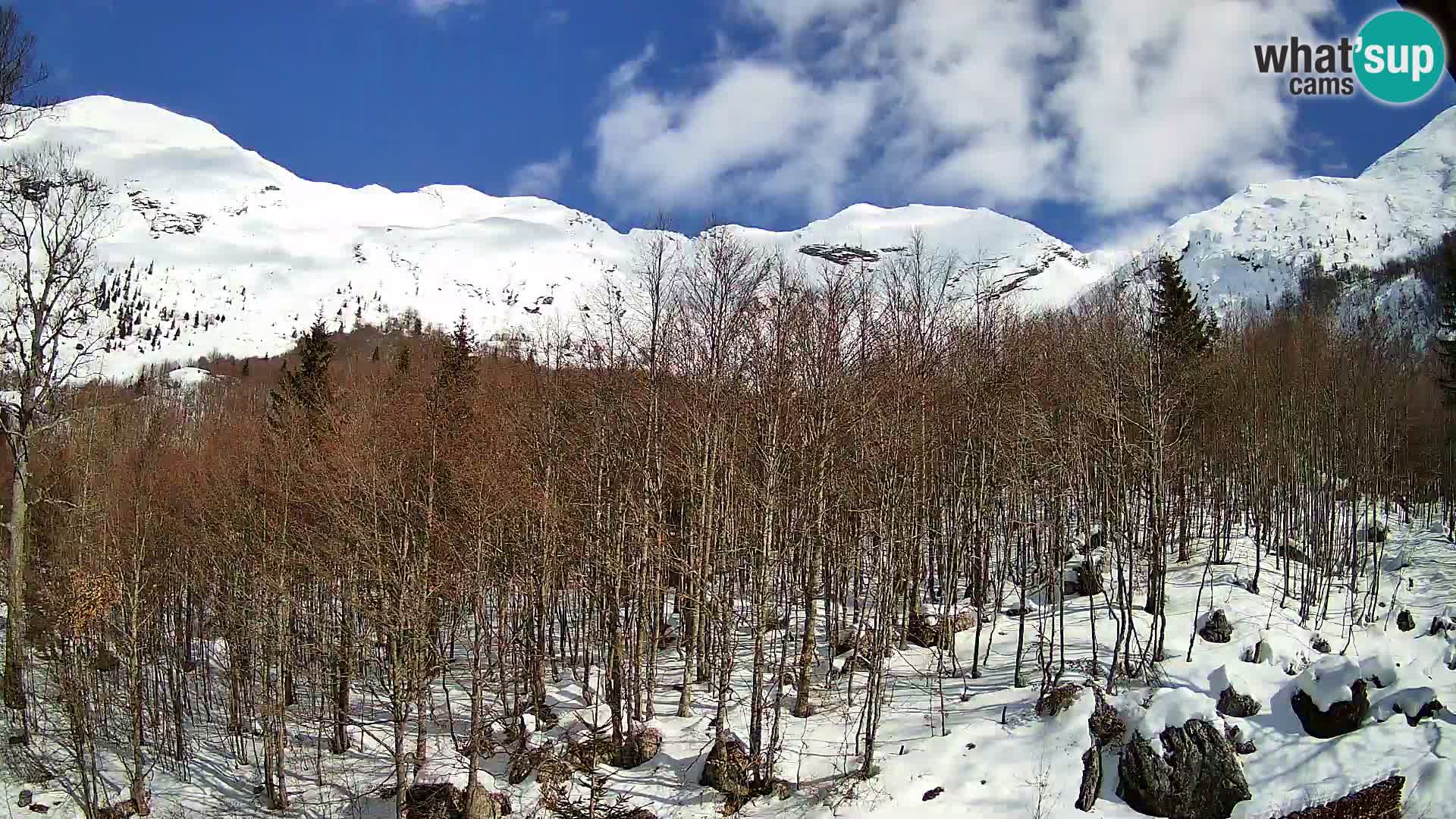 PLANINA RAZOR Live Cam (1315) | vista su Vogel e Globoko
