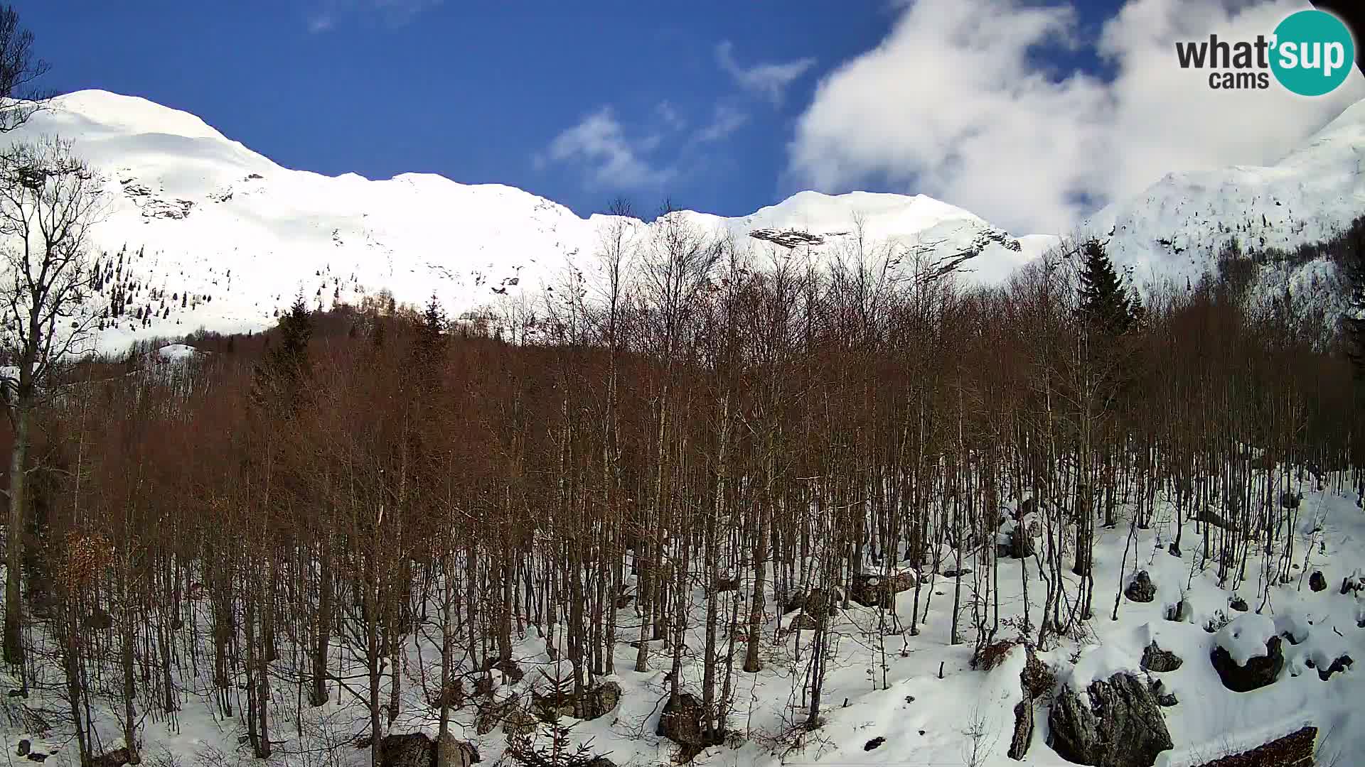 Livecam PLANINA RAZOR (1315) | vue sur Vogel et Globoko
