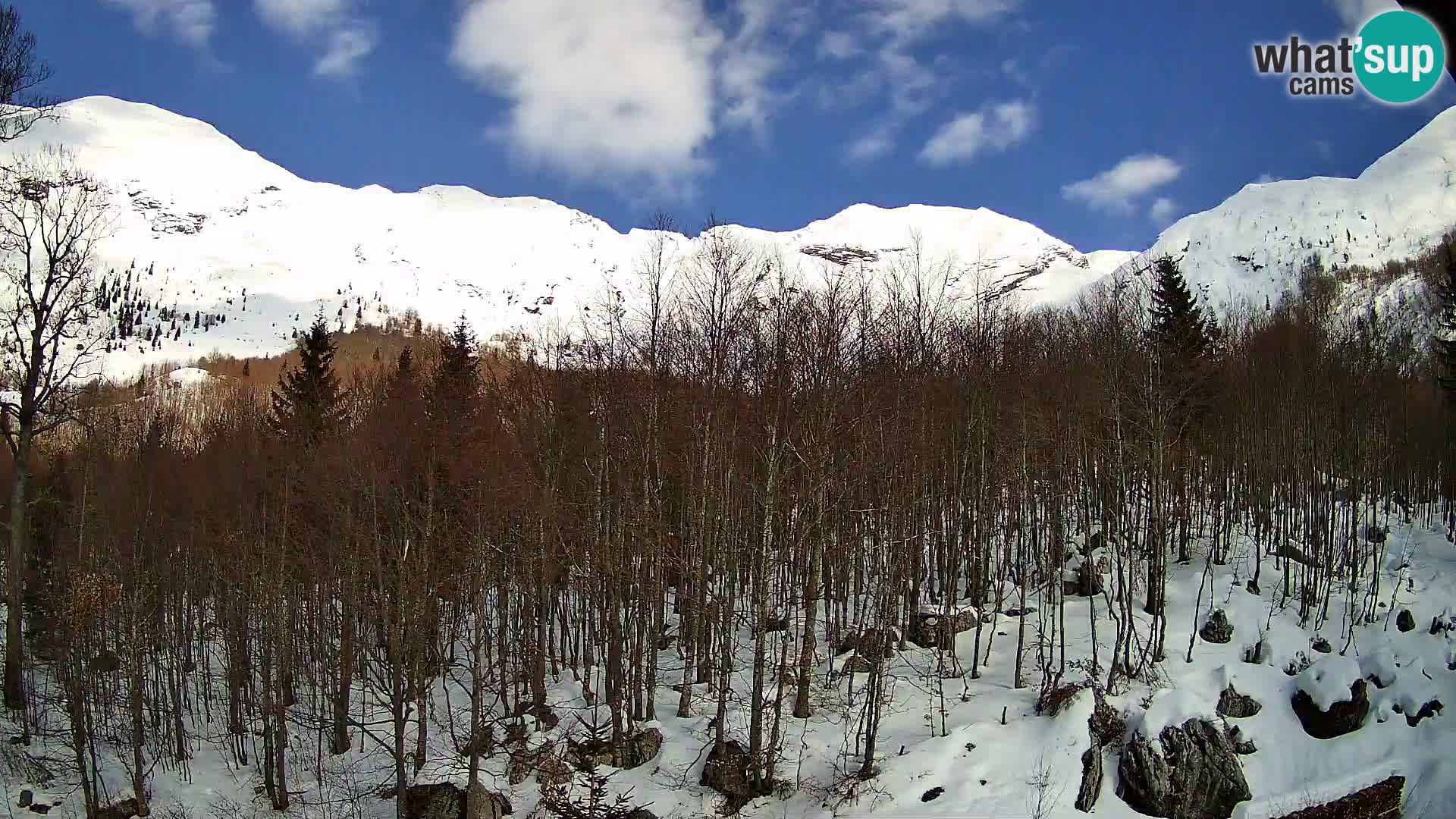 PLANINA RAZOR web kamera (1315) | pogled na Vogel i Globoko