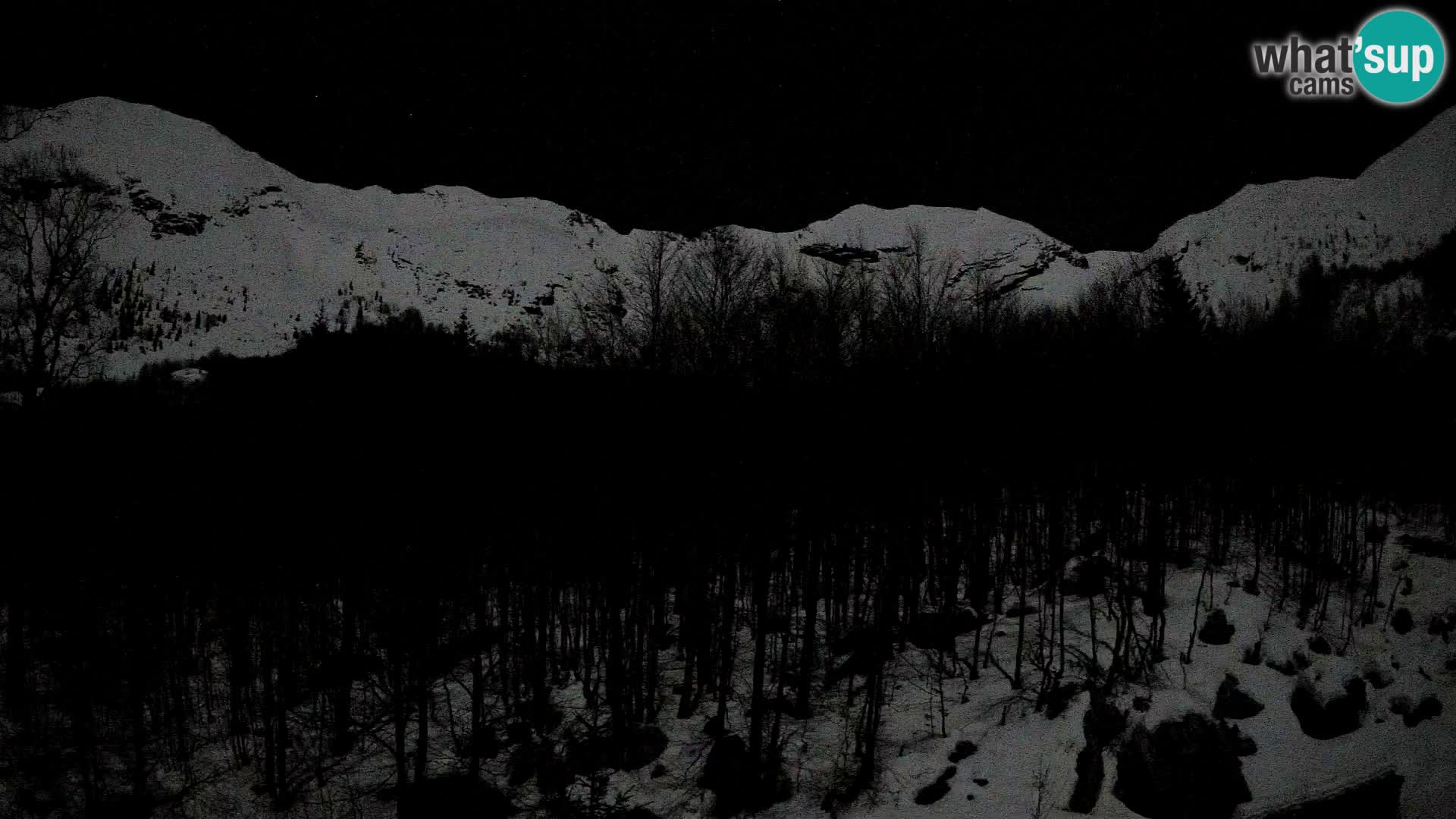 Livecam PLANINA RAZOR (1315) | vue sur Vogel et Globoko