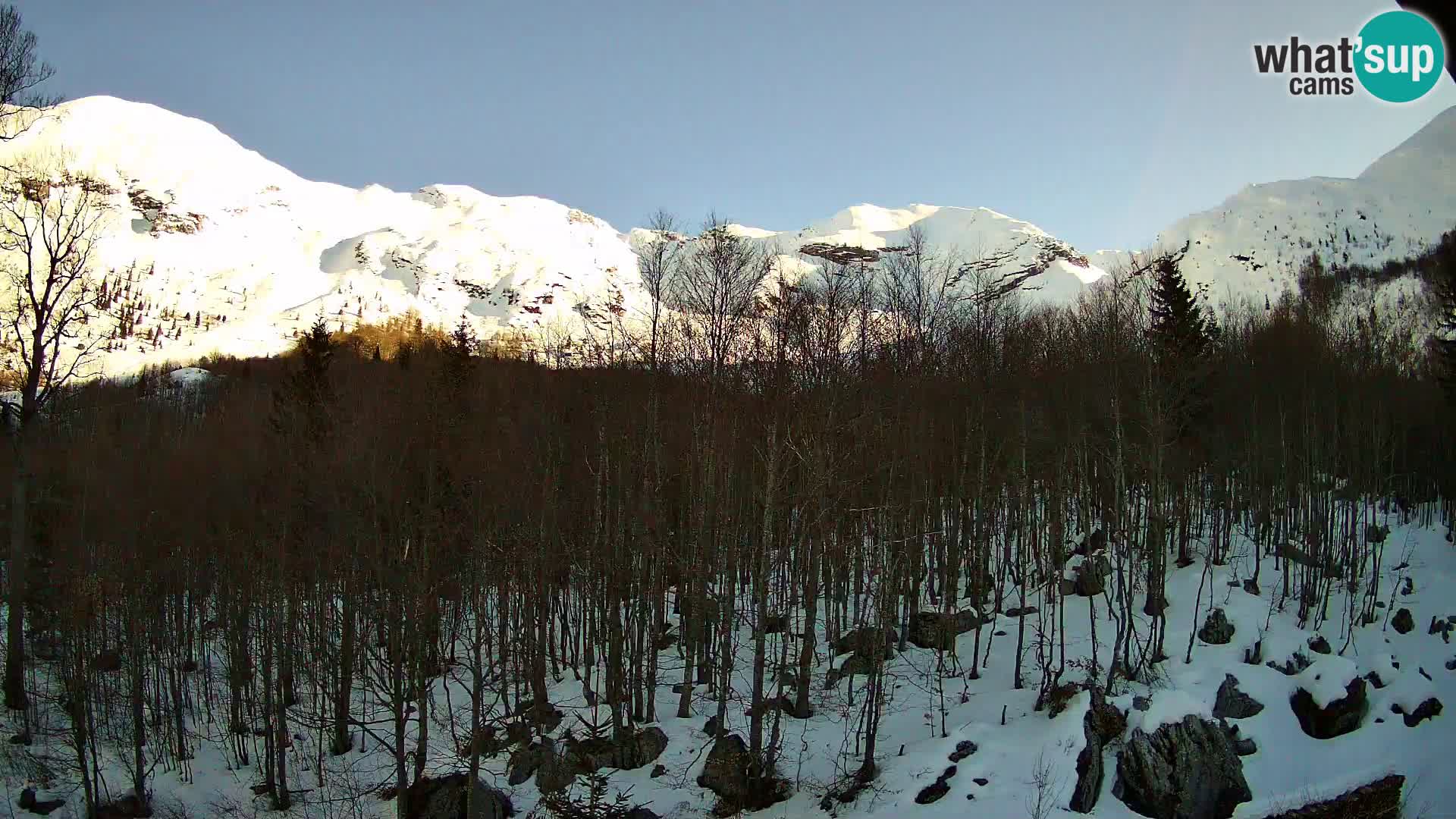 Livecam PLANINA RAZOR (1315) | vue sur Vogel et Globoko