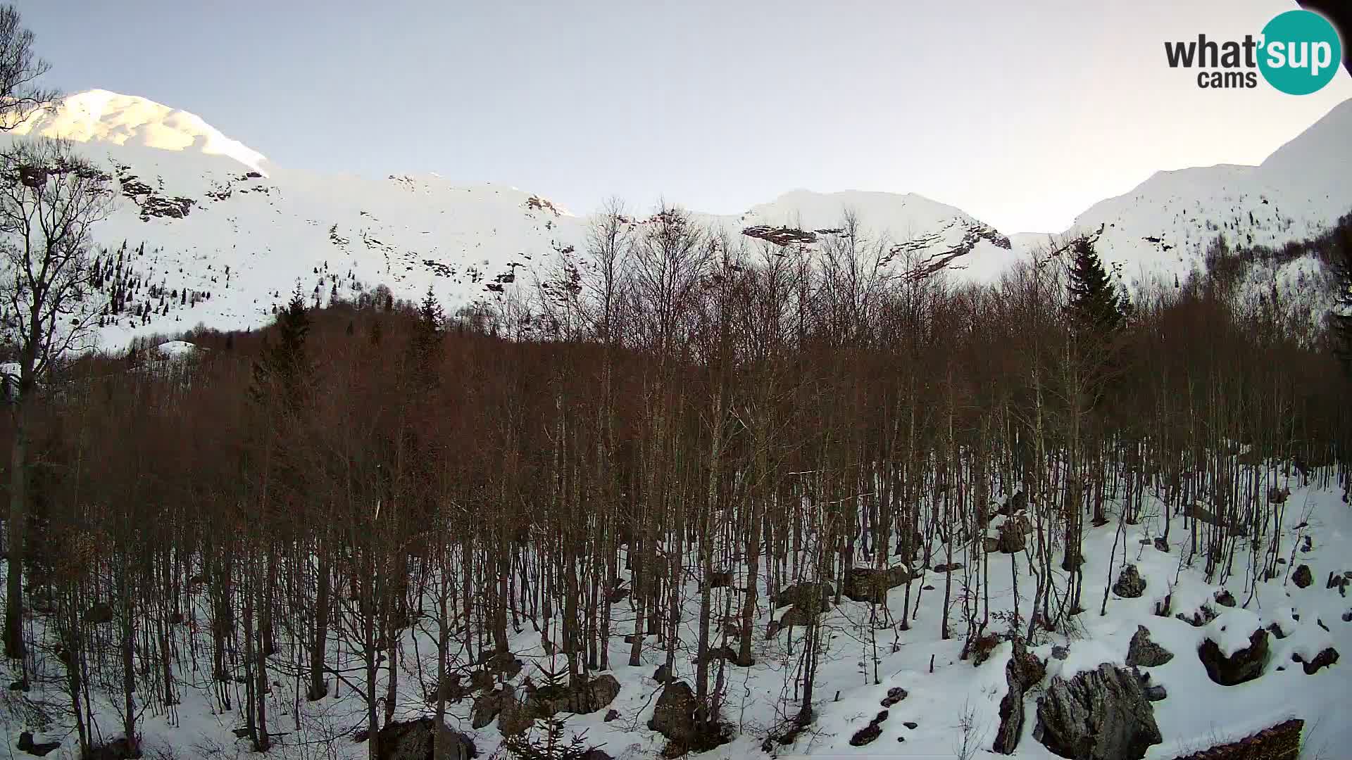 PLANINA RAZOR kamera (1315) | pogled na Vogel in Globoko