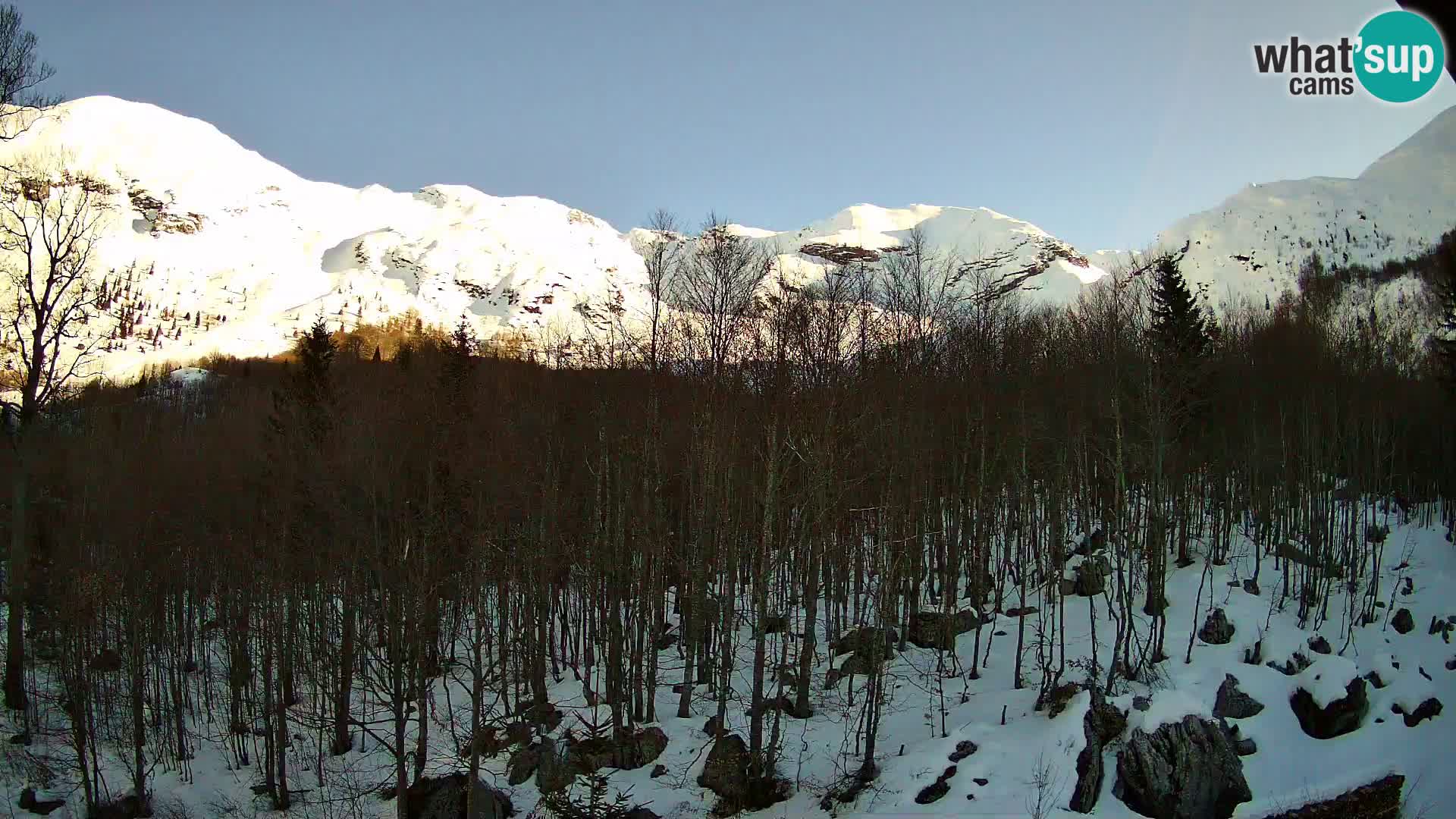 Livecam PLANINA RAZOR (1315) | vue sur Vogel et Globoko