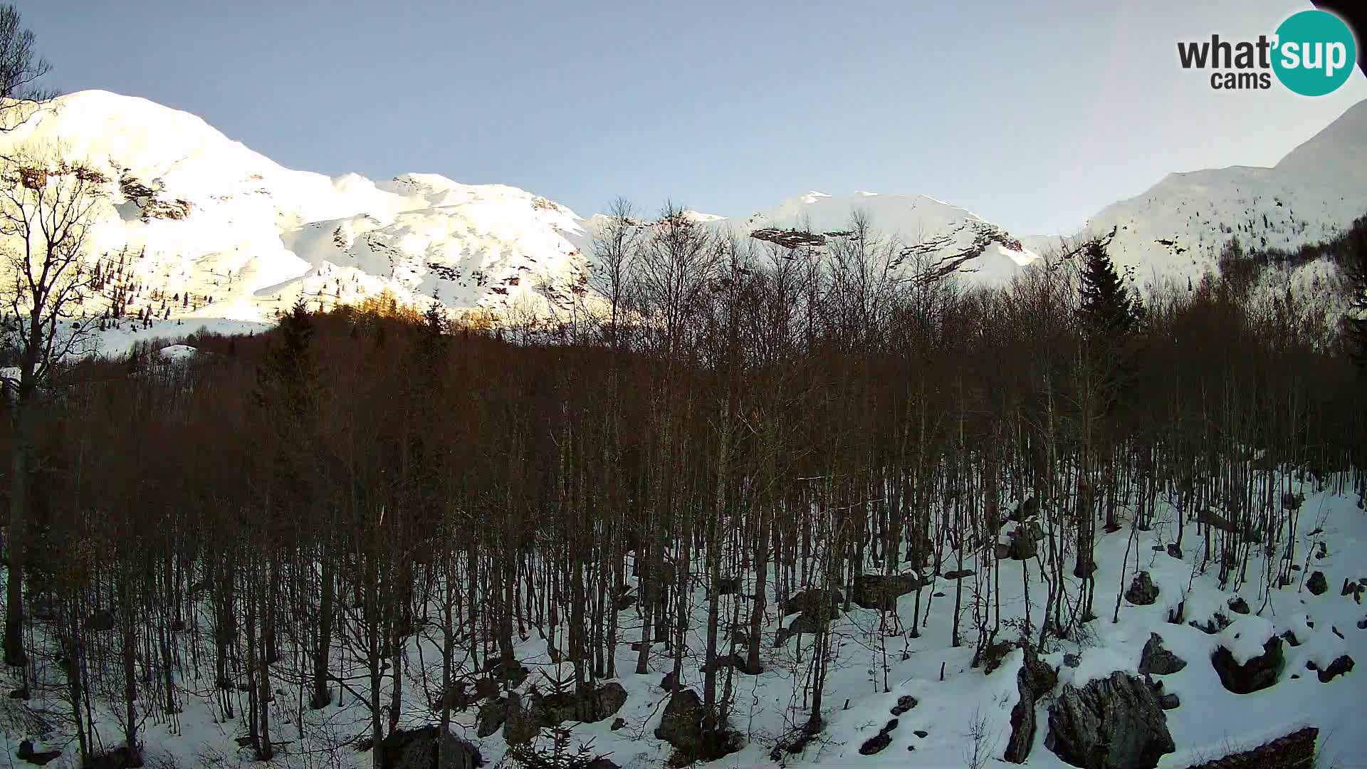PLANINA RAZOR kamera (1315) | pogled na Vogel in Globoko