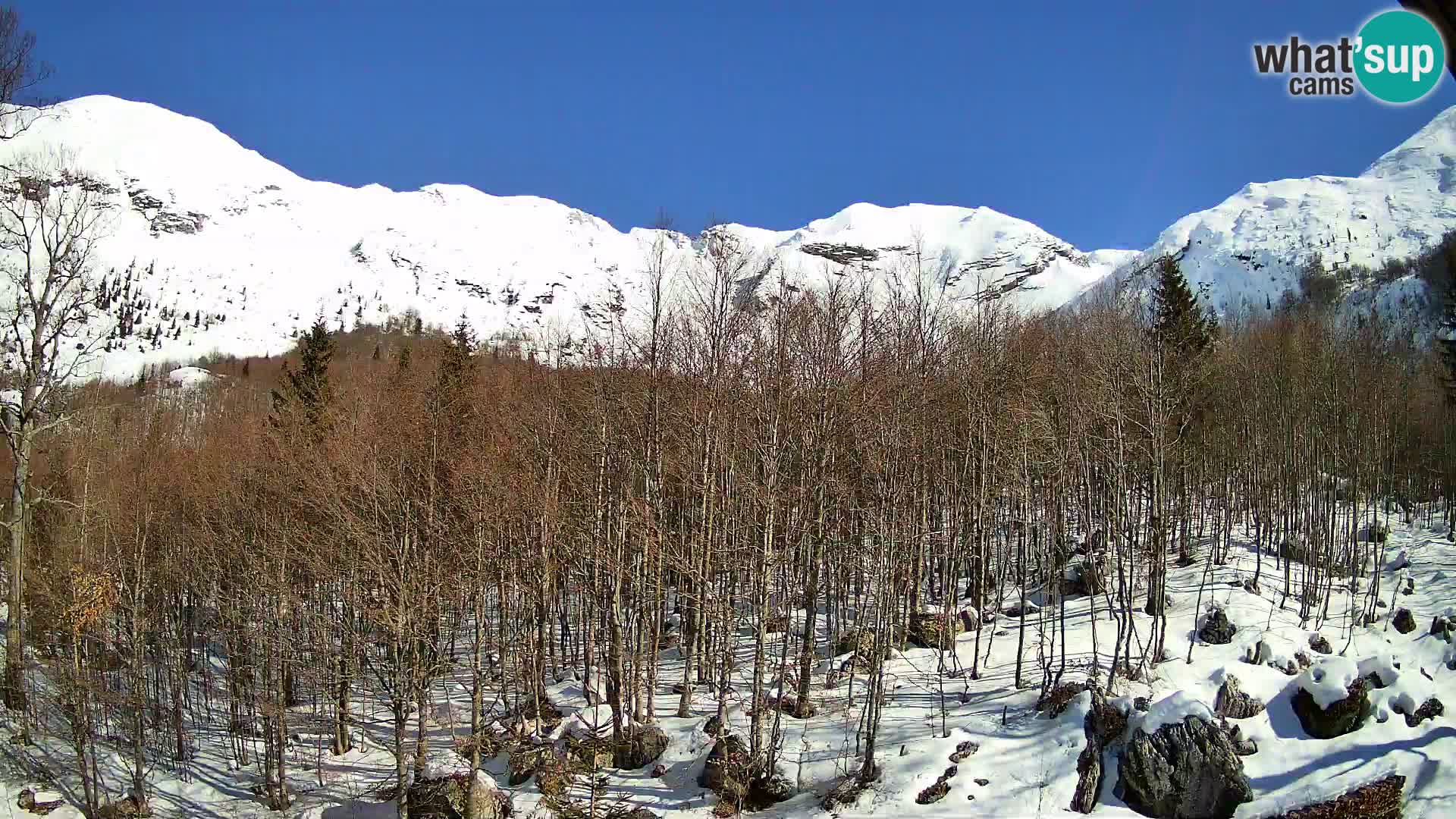 PLANINA RAZOR web kamera (1315) | pogled na Vogel i Globoko