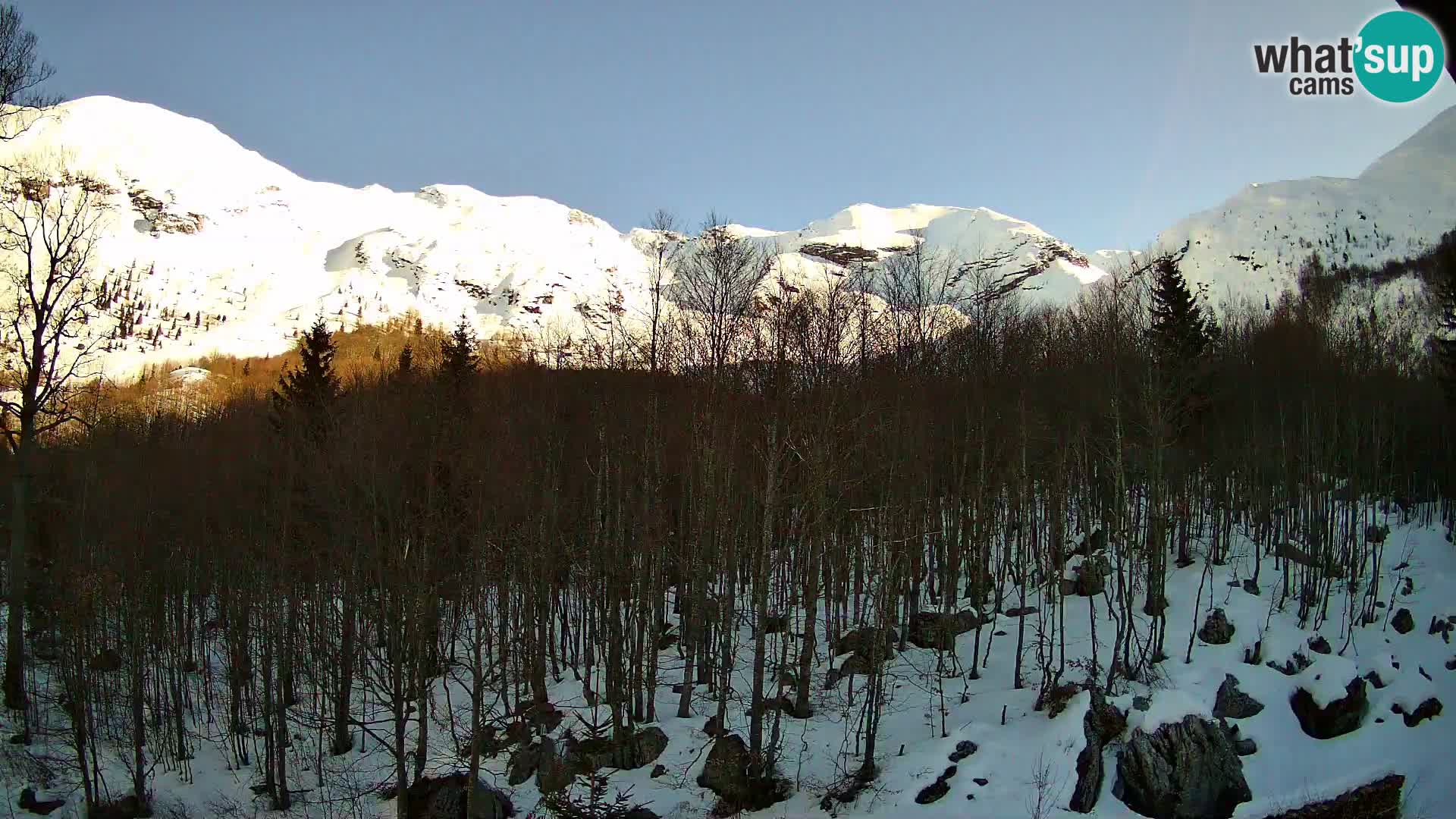 PLANINA RAZOR kamera (1315) | pogled na Vogel in Globoko