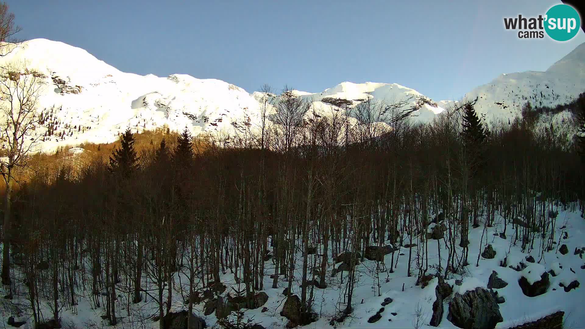 Livecam PLANINA RAZOR (1315) | vue sur Vogel et Globoko