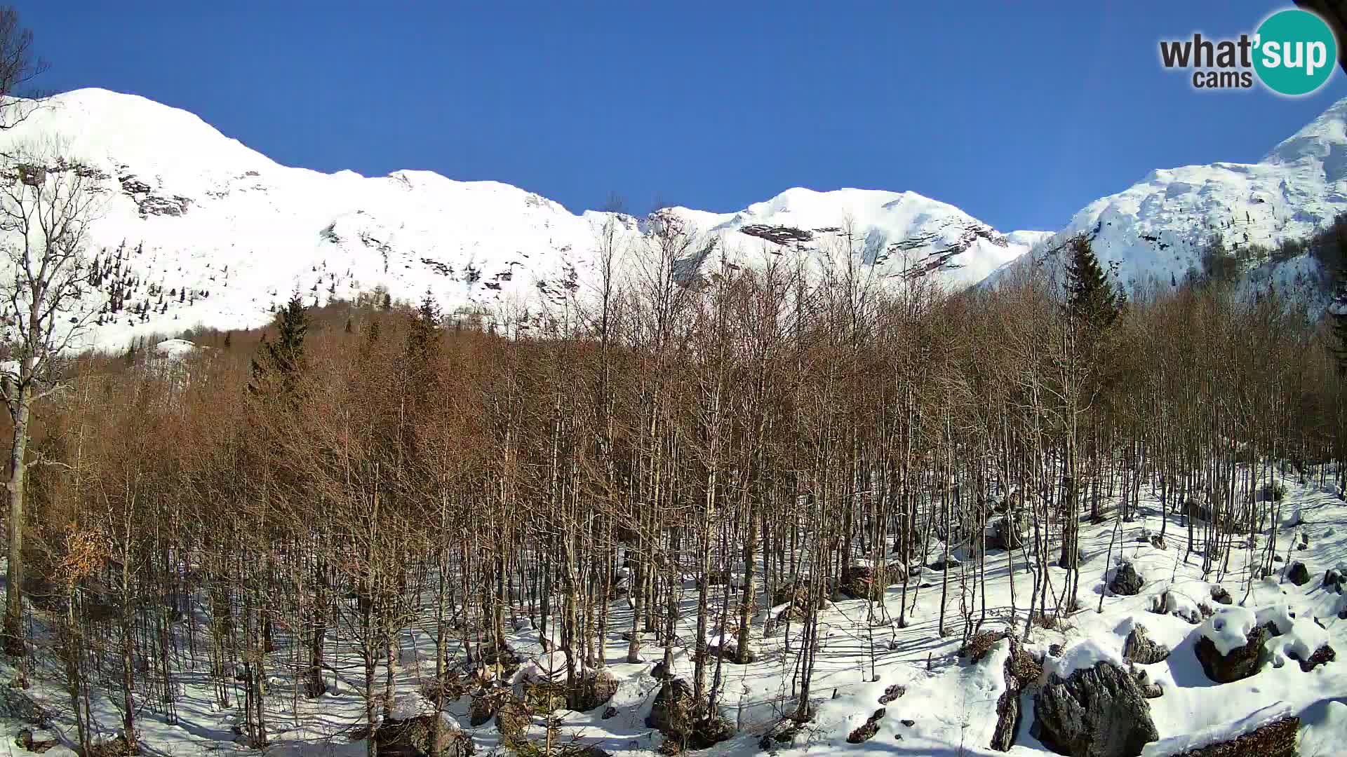 PLANINA RAZOR kamera (1315) | pogled na Vogel in Globoko