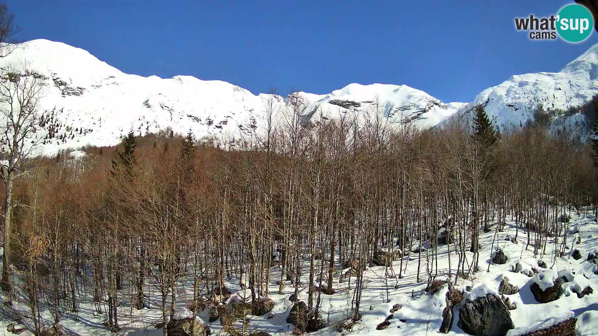 PLANINA RAZOR webcam (1315) | view to Vogel and Globoko