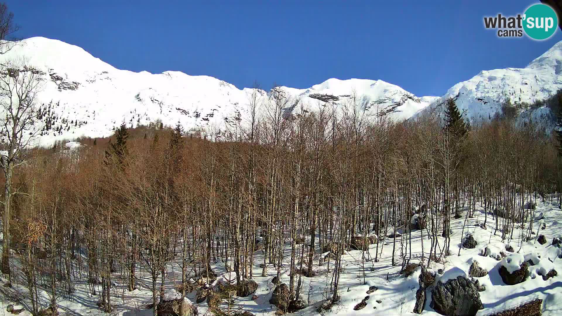 PLANINA RAZOR kamera (1315) | pogled na Vogel in Globoko