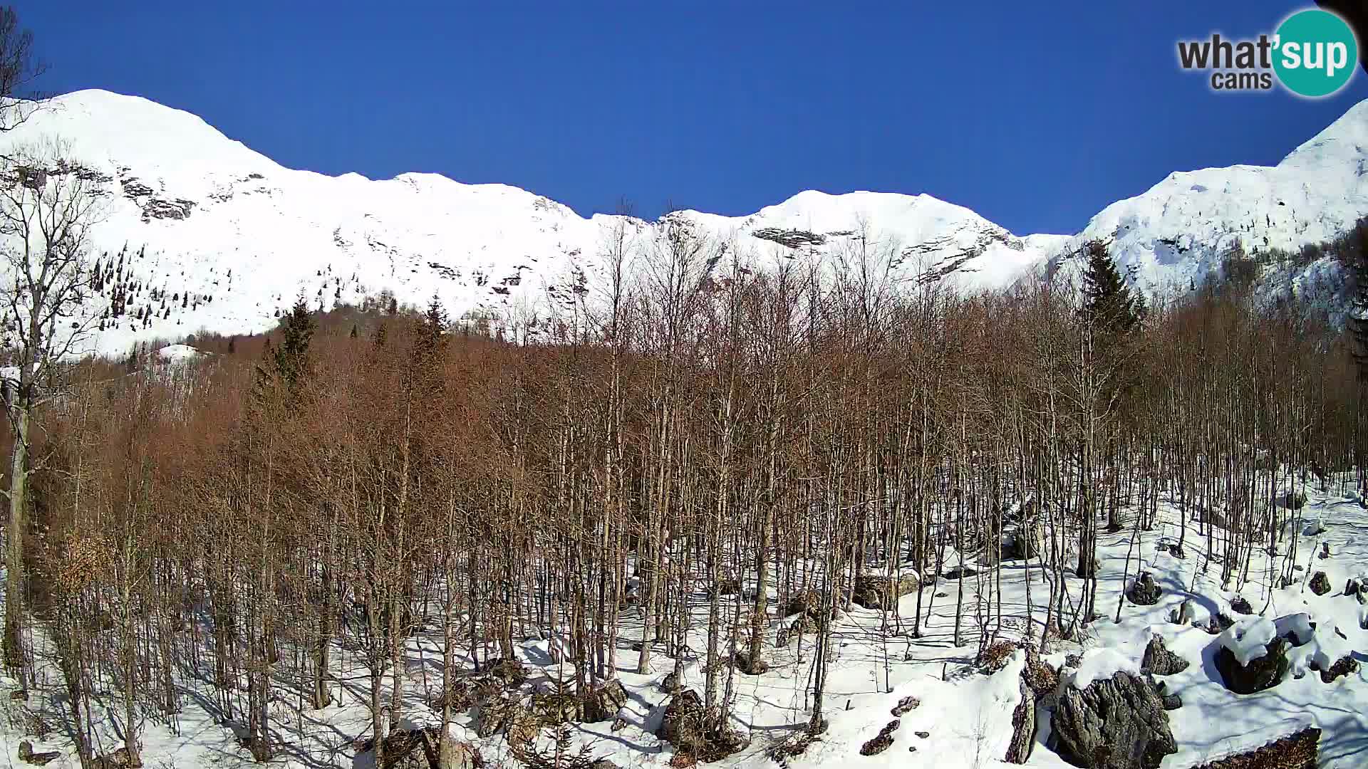 PLANINA RAZOR Live Cam (1315) | vista su Vogel e Globoko