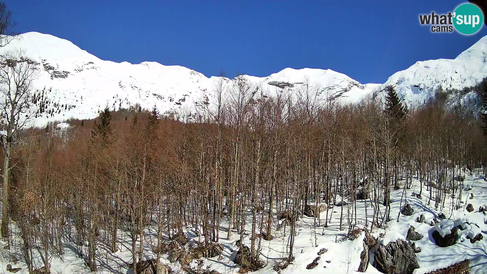 PLANINA RAZOR webcam (1315) | view to Vogel and Globoko