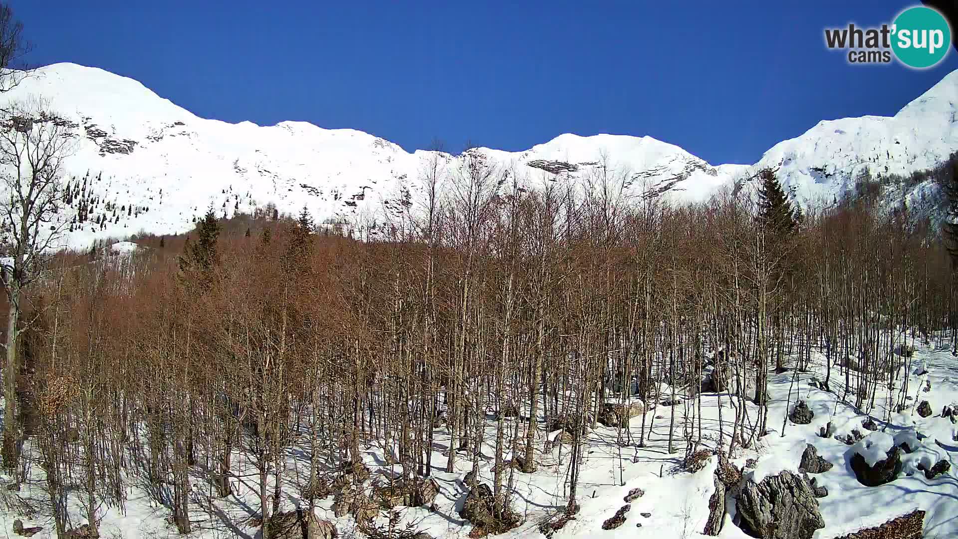 PLANINA RAZOR webcam (1315) | view to Vogel and Globoko