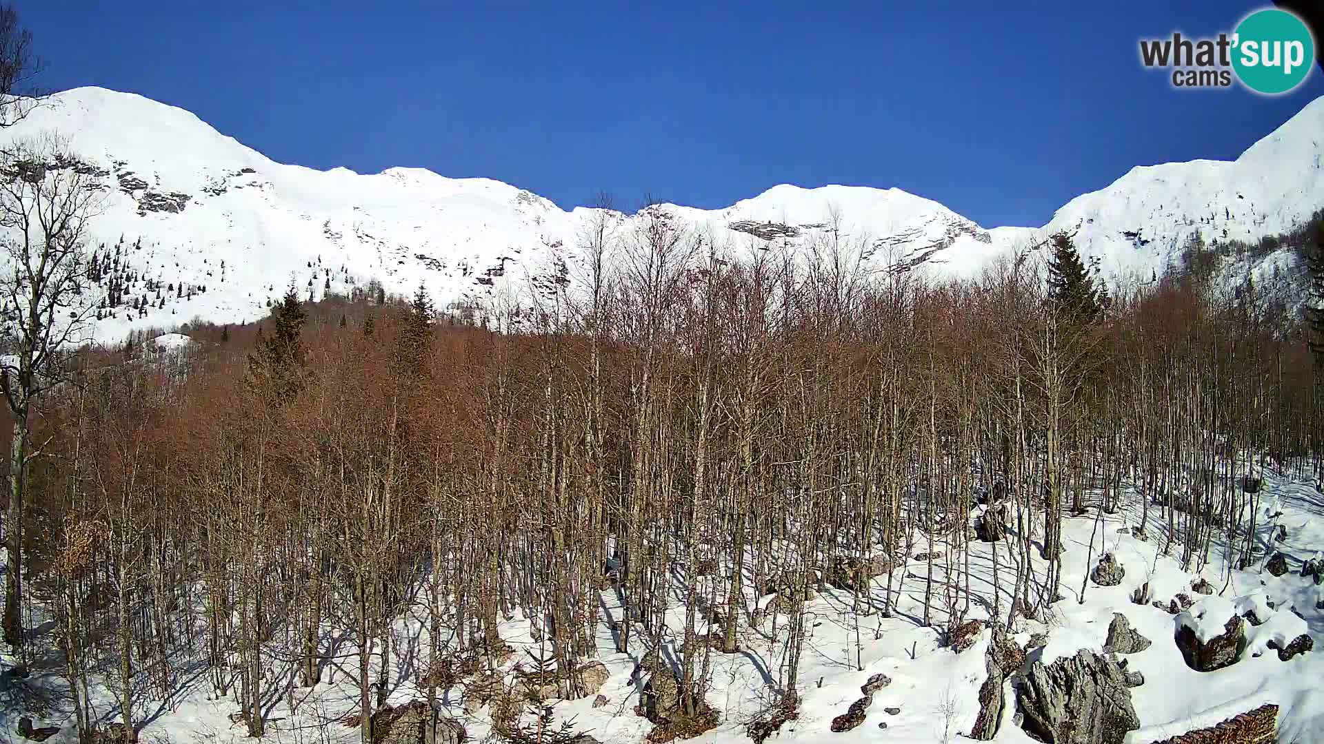 PLANINA RAZOR webcam (1315) | view to Vogel and Globoko