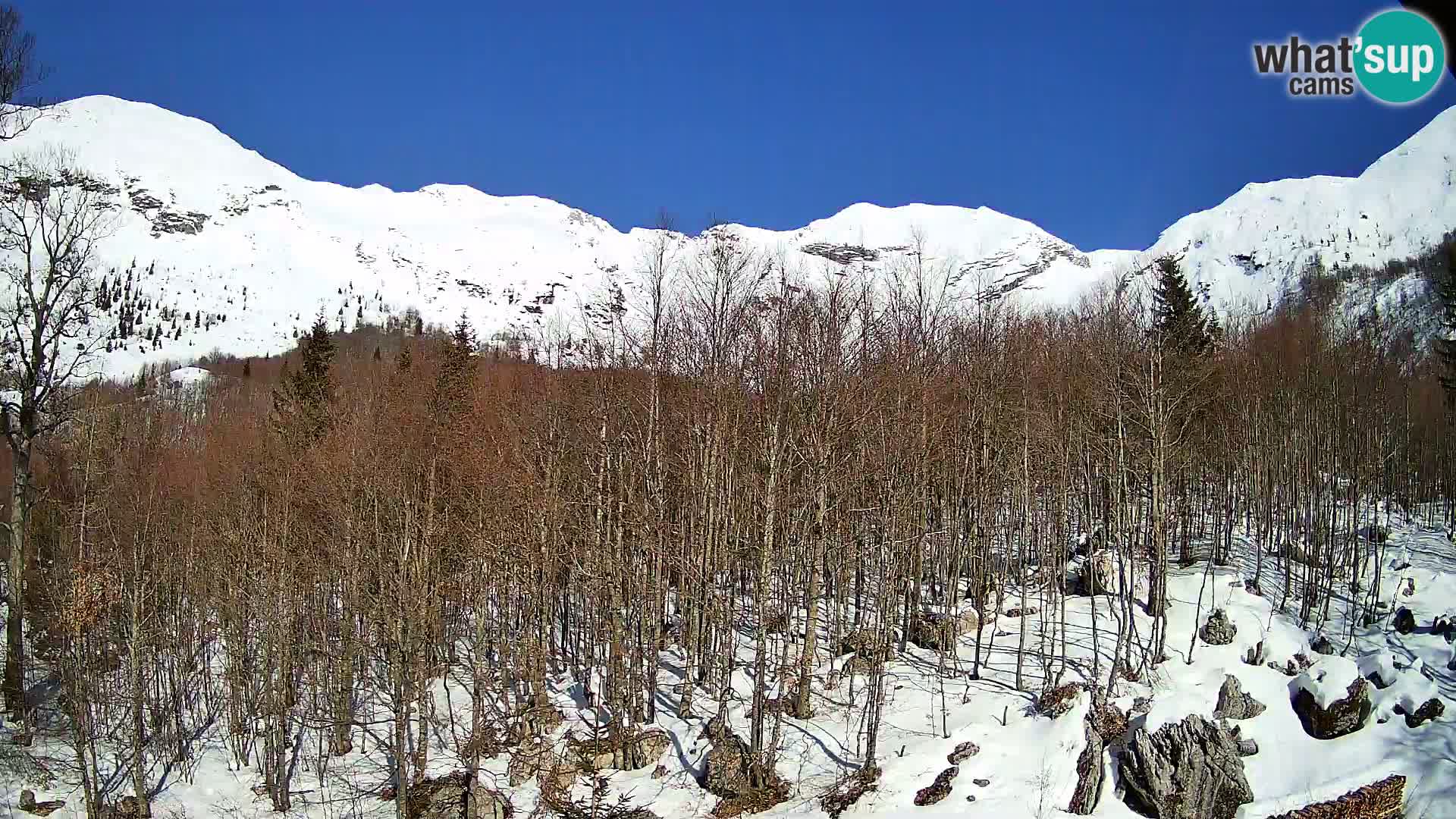 PLANINA RAZOR web kamera (1315) | pogled na Vogel i Globoko