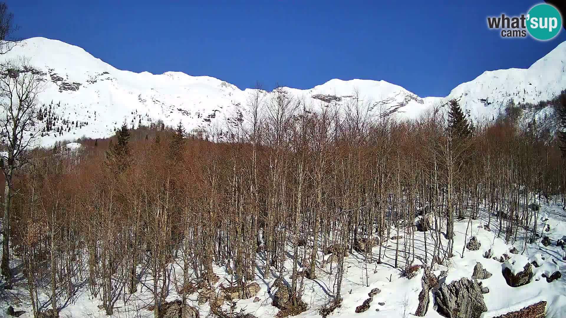 PLANINA RAZOR webcam (1315) | view to Vogel and Globoko