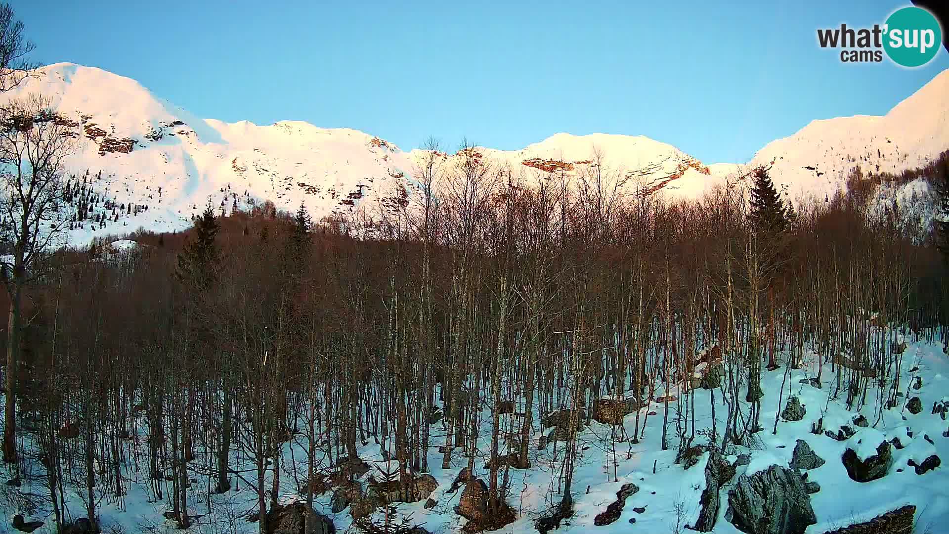 Livecam PLANINA RAZOR (1315) | vue sur Vogel et Globoko