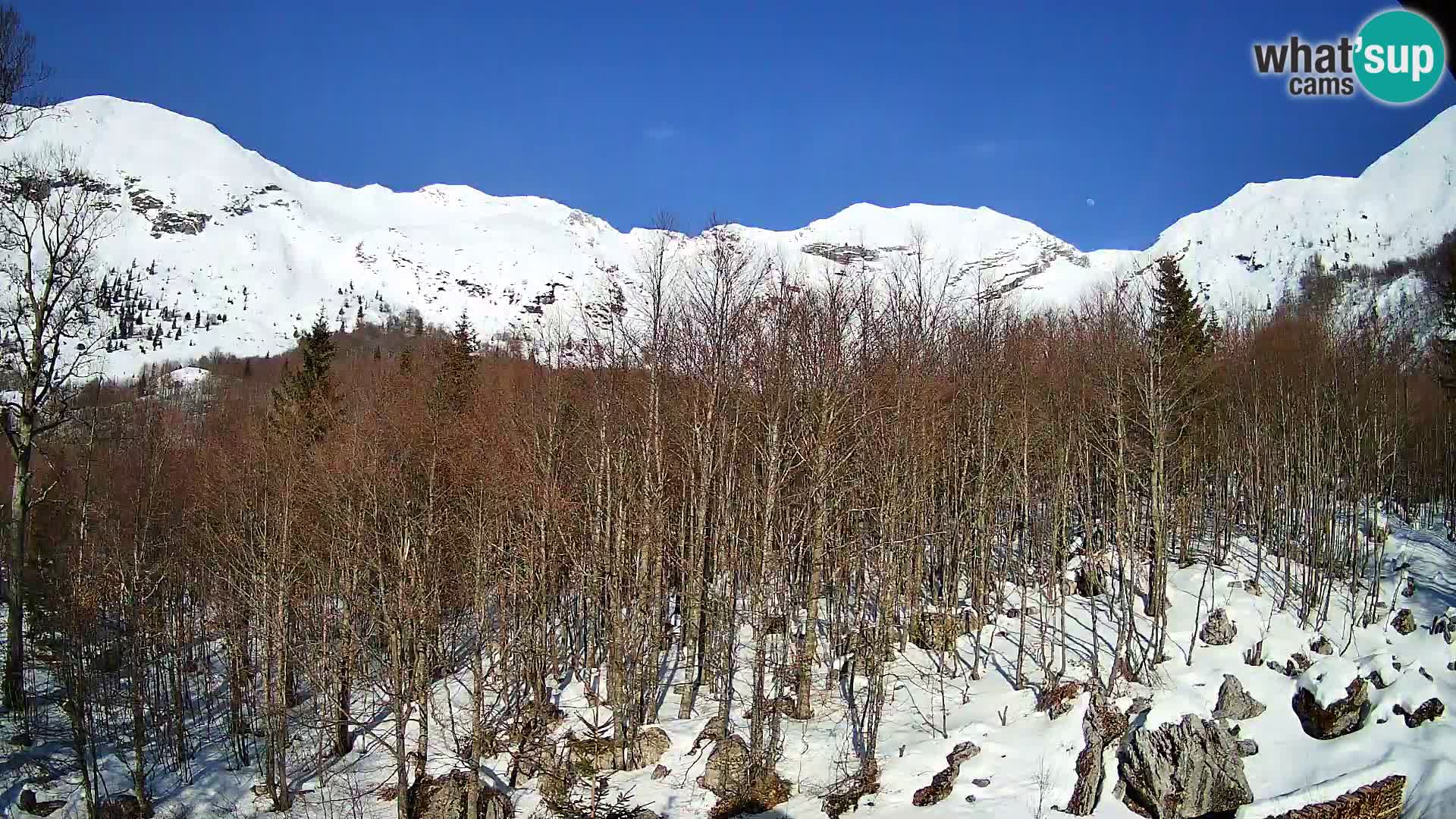 Webcam PLANINA RAZOR (1315) | Blick auf Vogel und Globoko