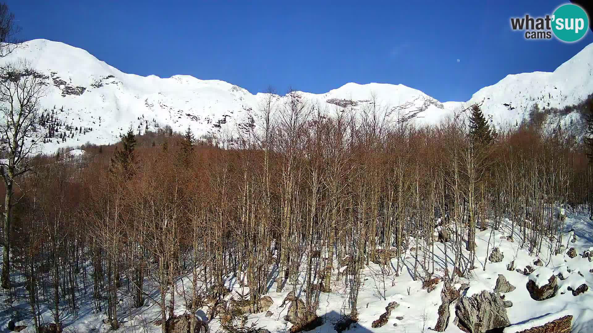 Webcam PLANINA RAZOR (1315) | Blick auf Vogel und Globoko