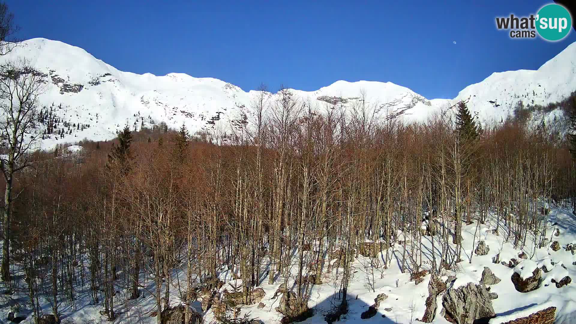 Livecam PLANINA RAZOR (1315) | vue sur Vogel et Globoko