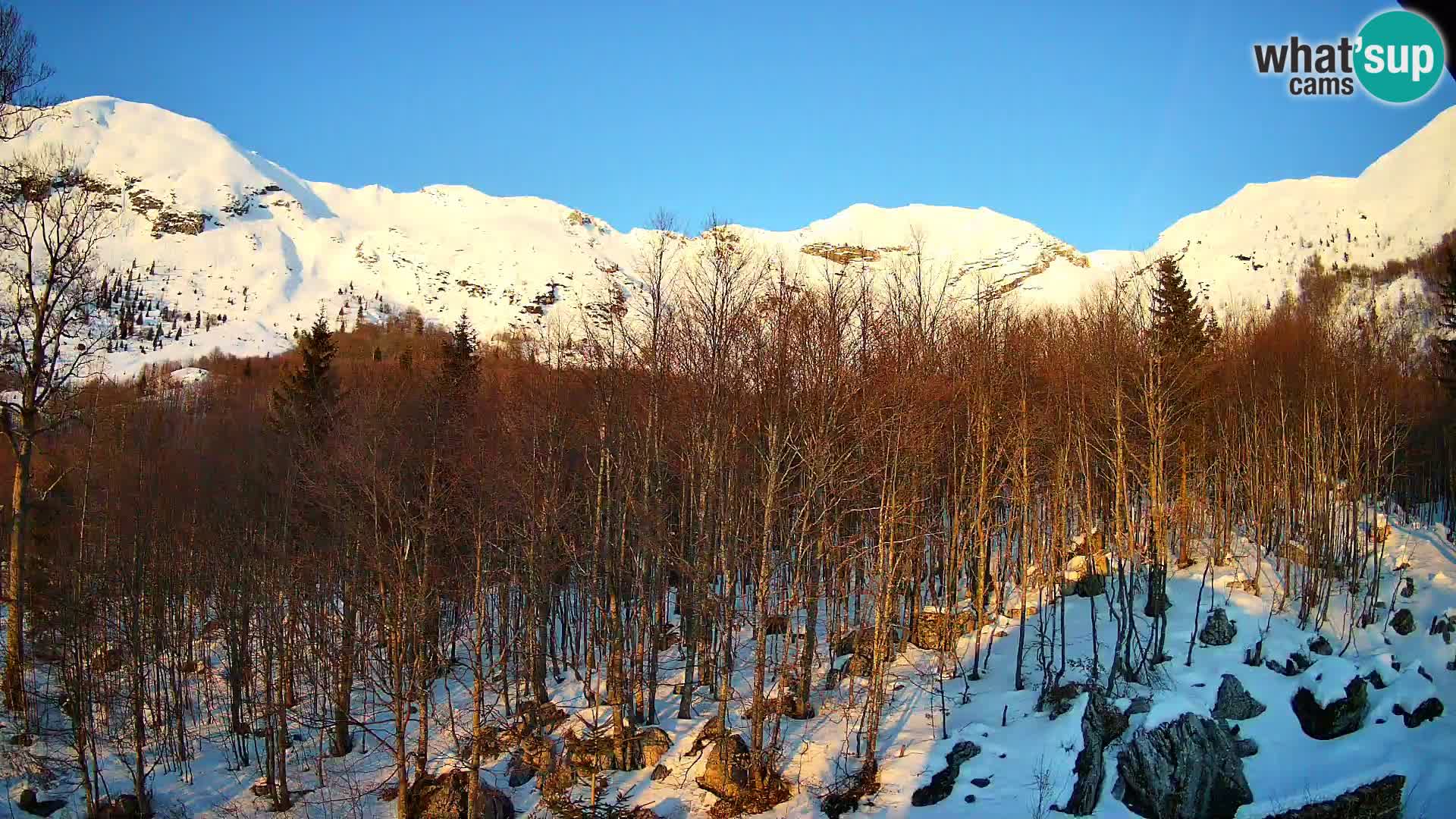 PLANINA RAZOR webcam (1315) | view to Vogel and Globoko