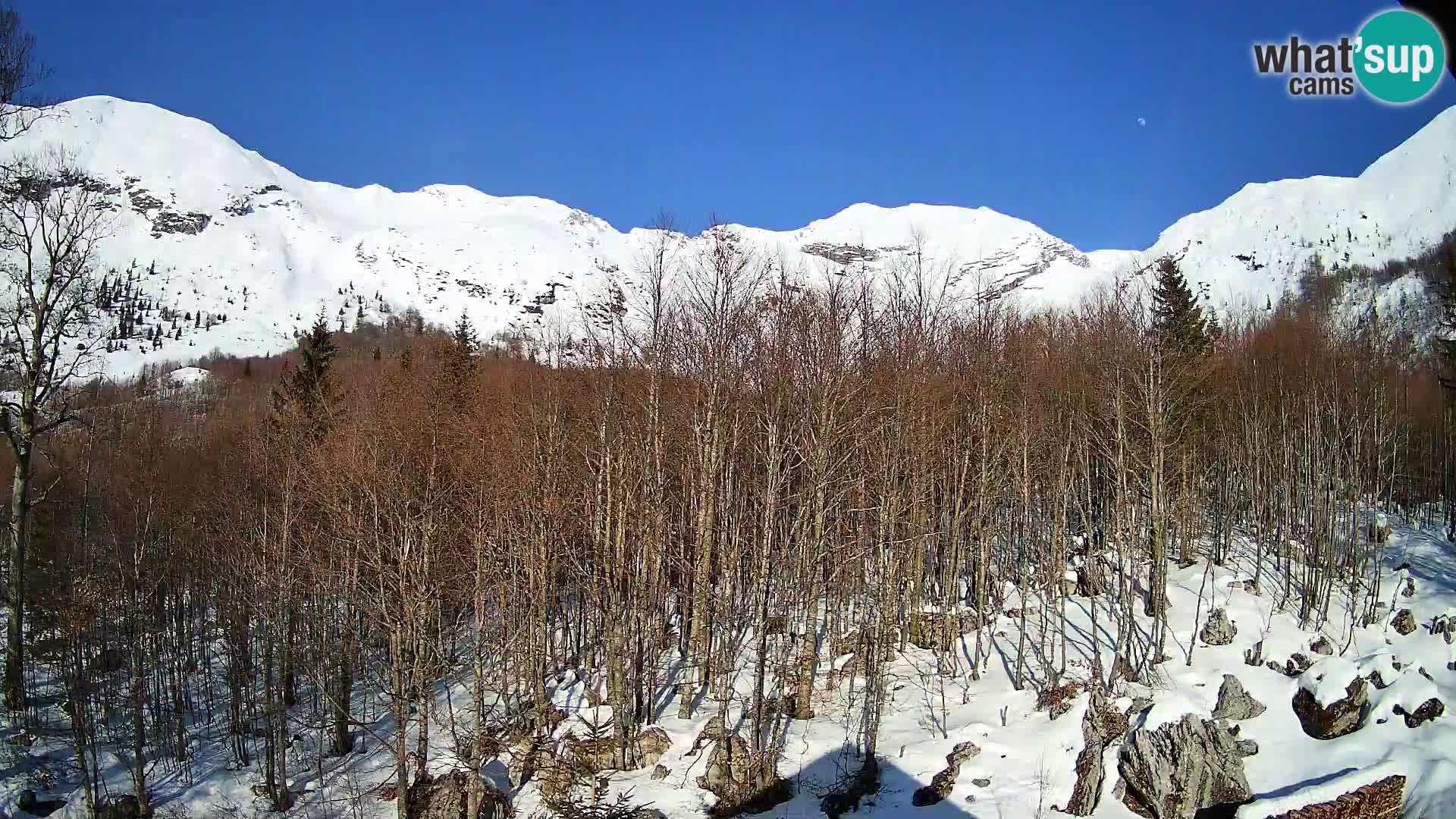 Webcam PLANINA RAZOR (1315) | Blick auf Vogel und Globoko