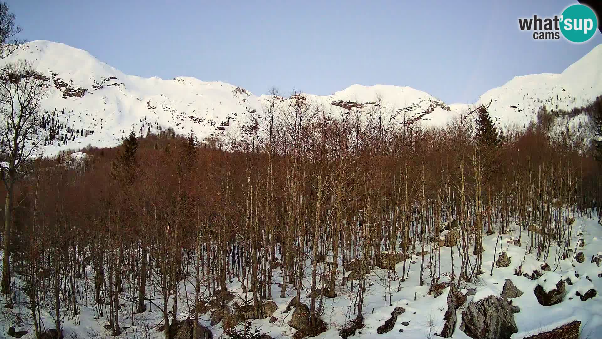 Webcam PLANINA RAZOR (1315) | Blick auf Vogel und Globoko