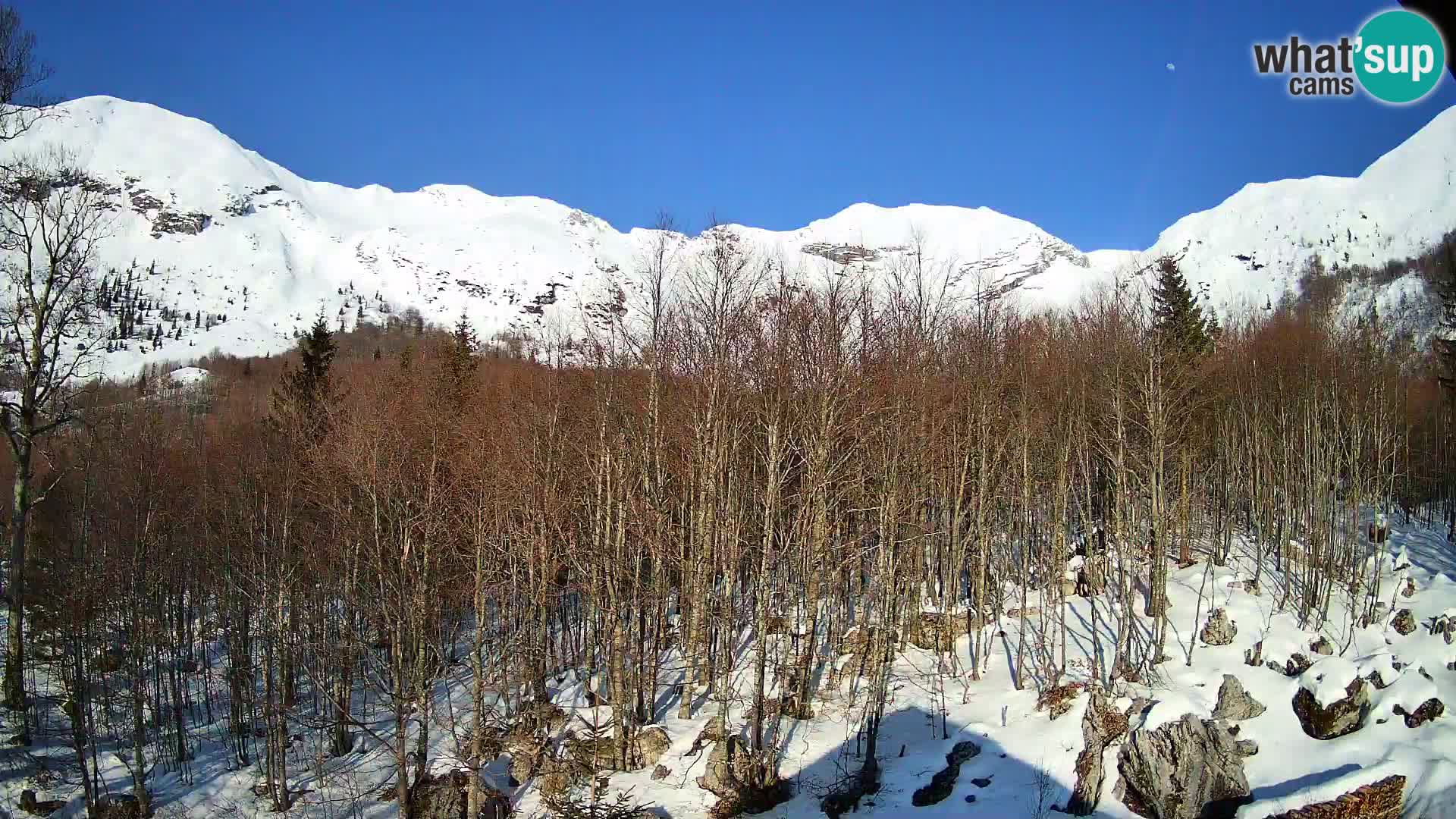 PLANINA RAZOR web kamera (1315) | pogled na Vogel i Globoko