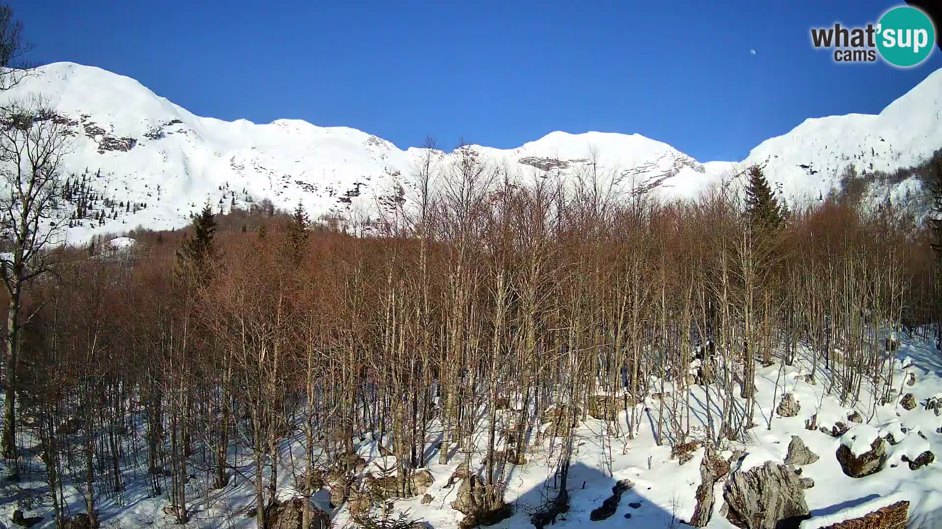 PLANINA RAZOR web kamera (1315) | pogled na Vogel i Globoko