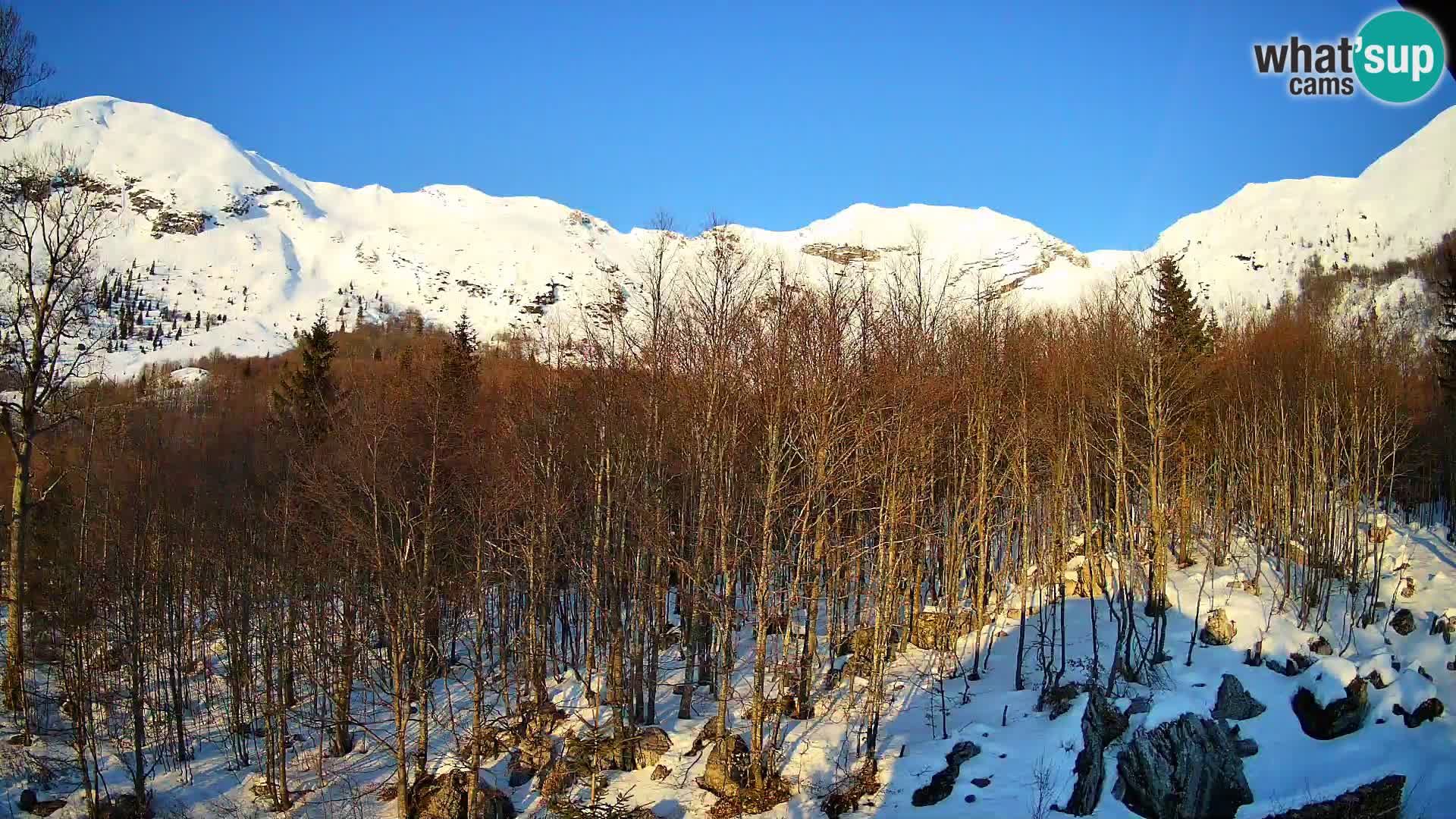 Livecam PLANINA RAZOR (1315) | vue sur Vogel et Globoko