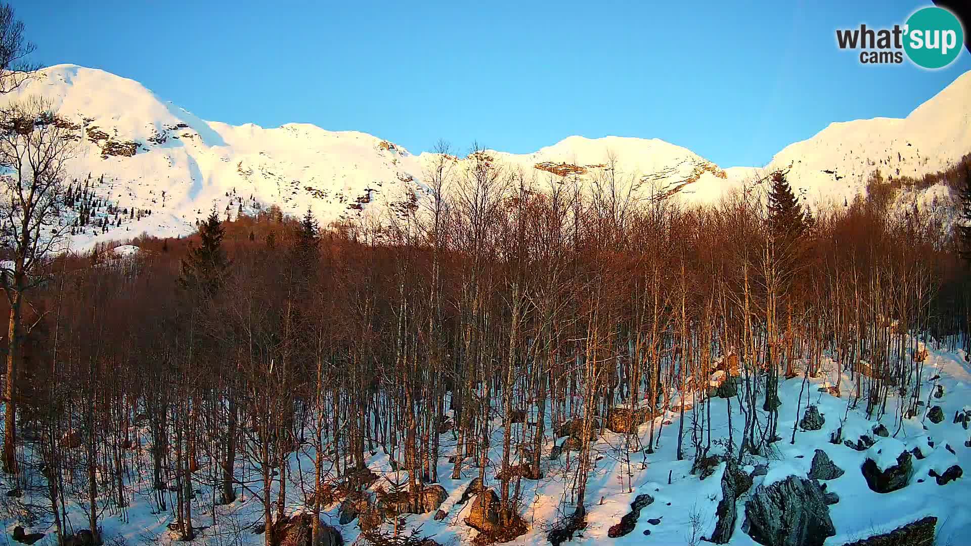 PLANINA RAZOR webcam (1315) | view to Vogel and Globoko