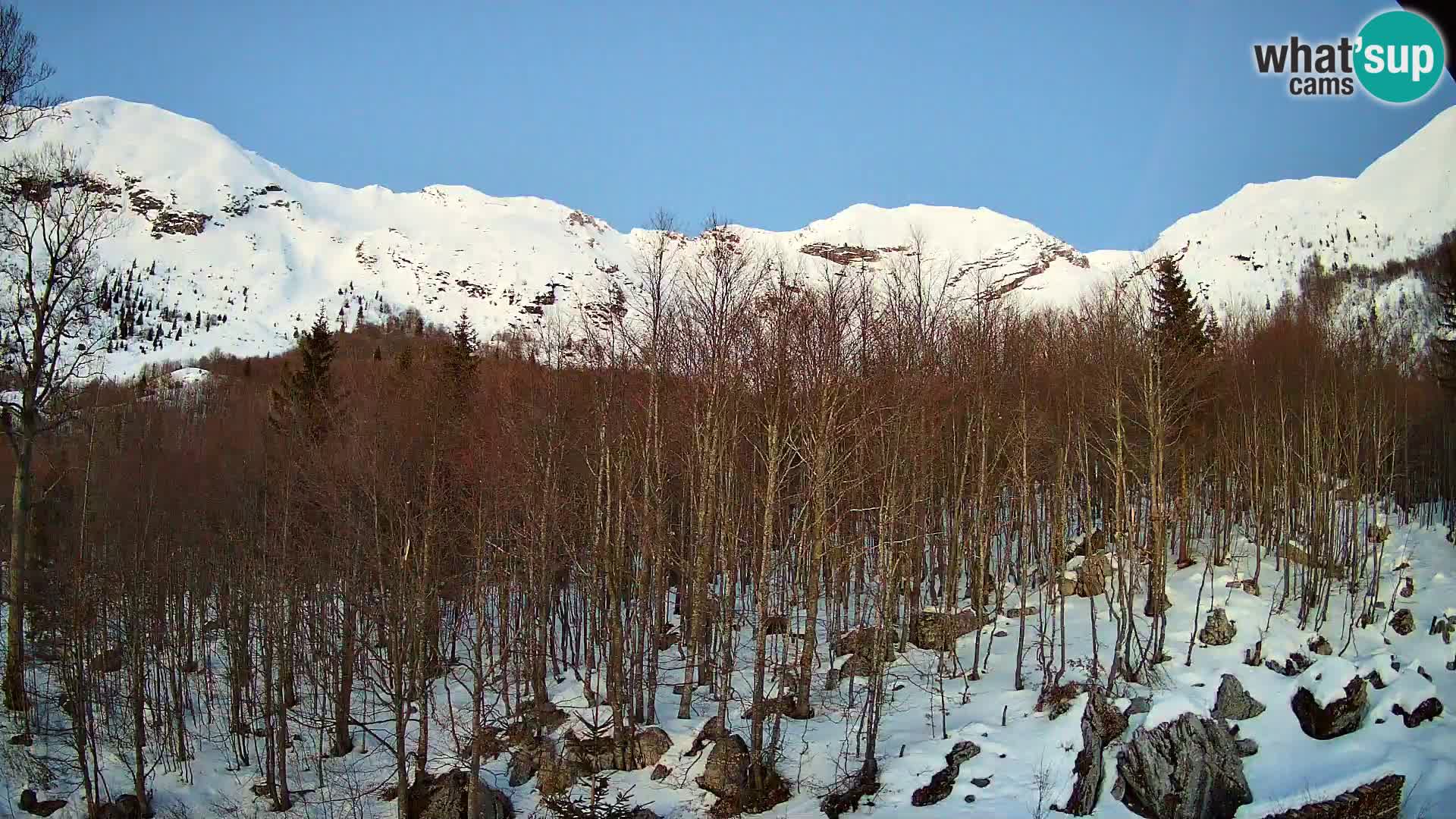 Webcam PLANINA RAZOR (1315) | Blick auf Vogel und Globoko