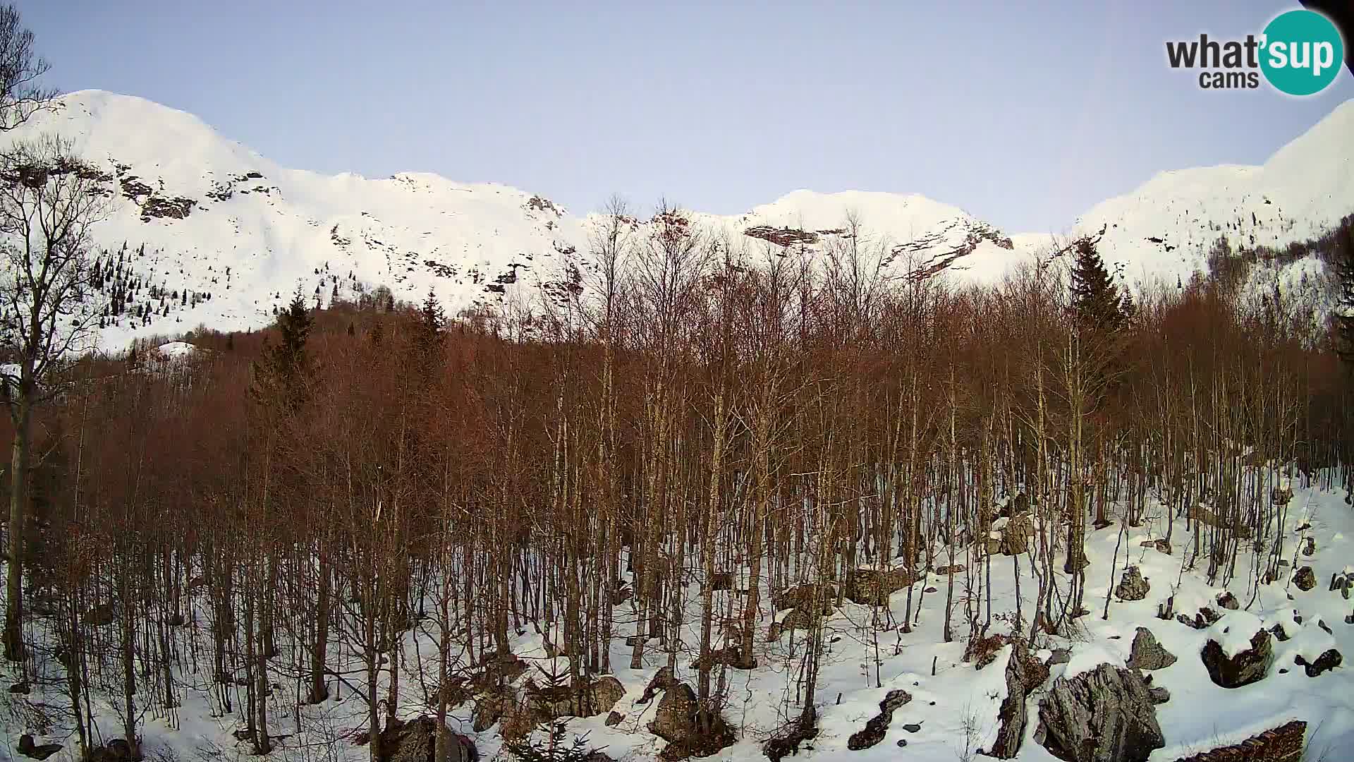 Cámara web PLANINA RAZOR (1315) | vista a Vogel y Globoko