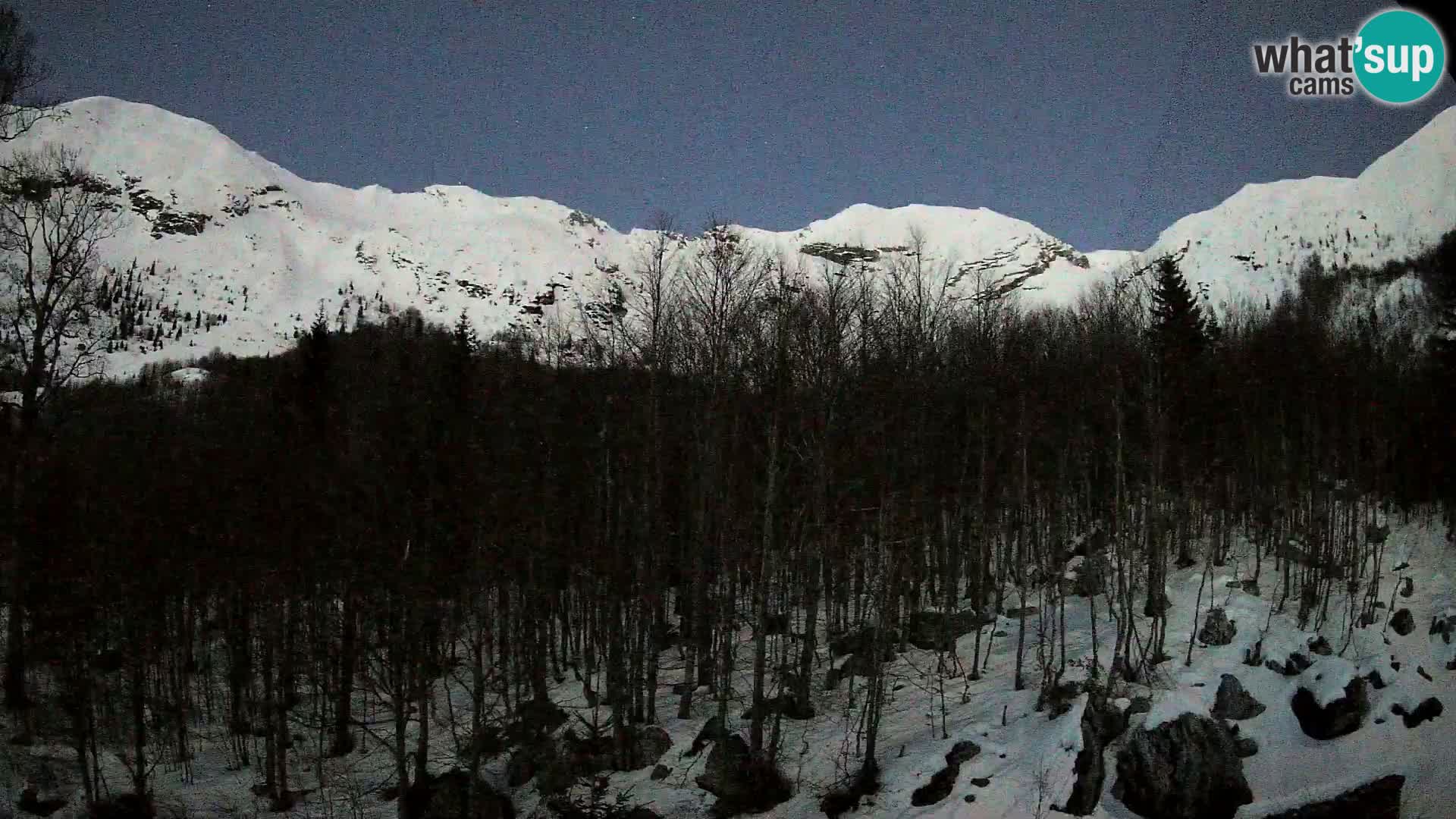 PLANINA RAZOR web kamera (1315) | pogled na Vogel i Globoko