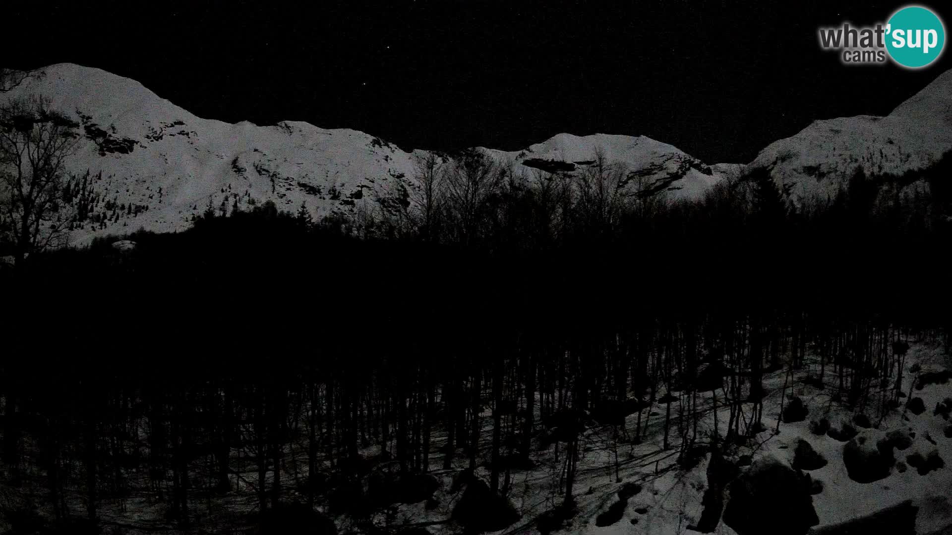 Webcam PLANINA RAZOR (1315) | Blick auf Vogel und Globoko