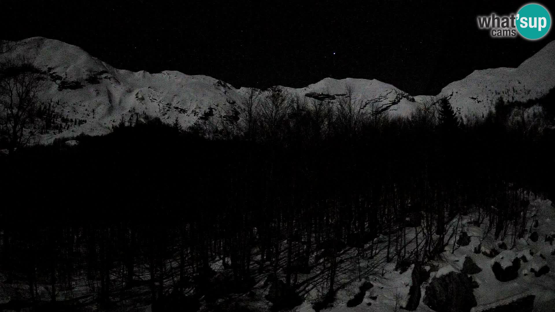 Webcam PLANINA RAZOR (1315) | Blick auf Vogel und Globoko