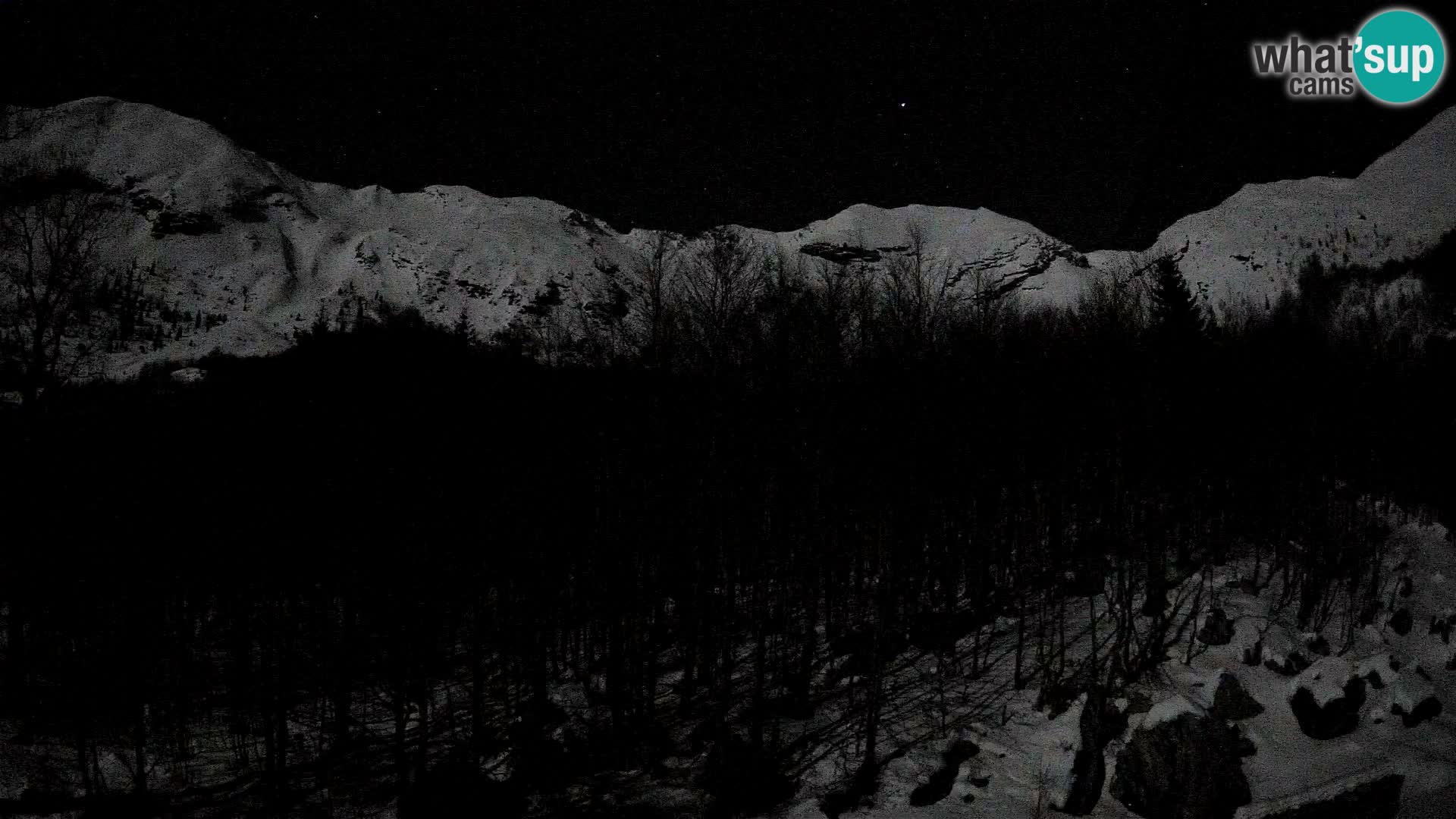 Webcam PLANINA RAZOR (1315) | Blick auf Vogel und Globoko