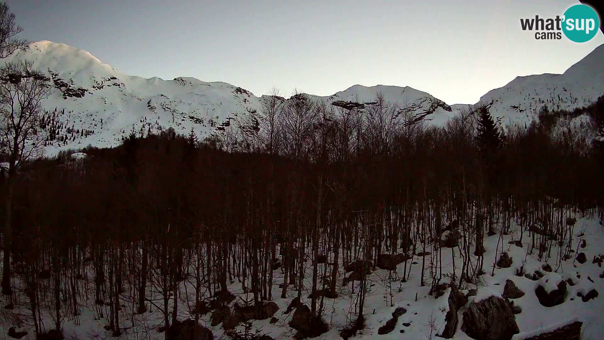 PLANINA RAZOR Live Cam (1315) | vista su Vogel e Globoko
