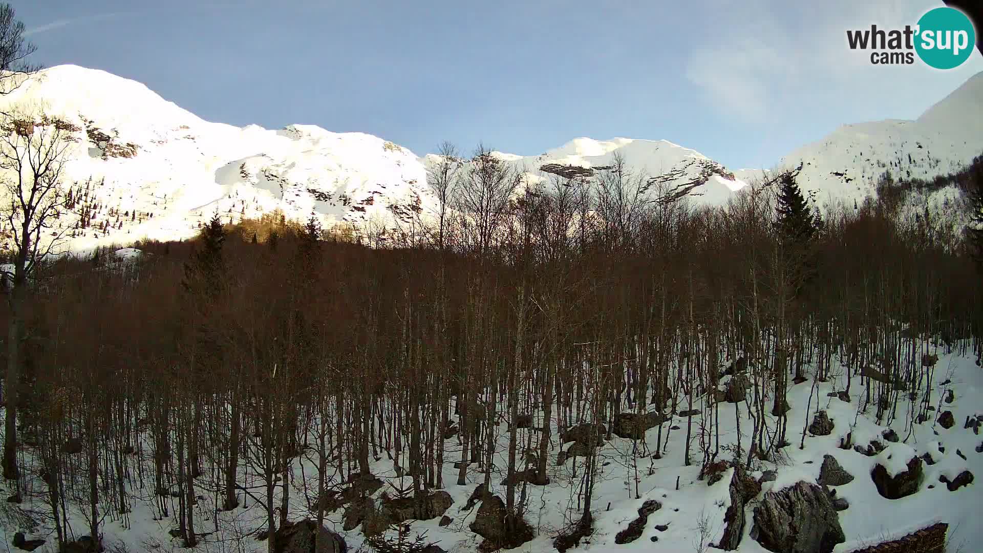 PLANINA RAZOR Live Cam (1315) | vista su Vogel e Globoko