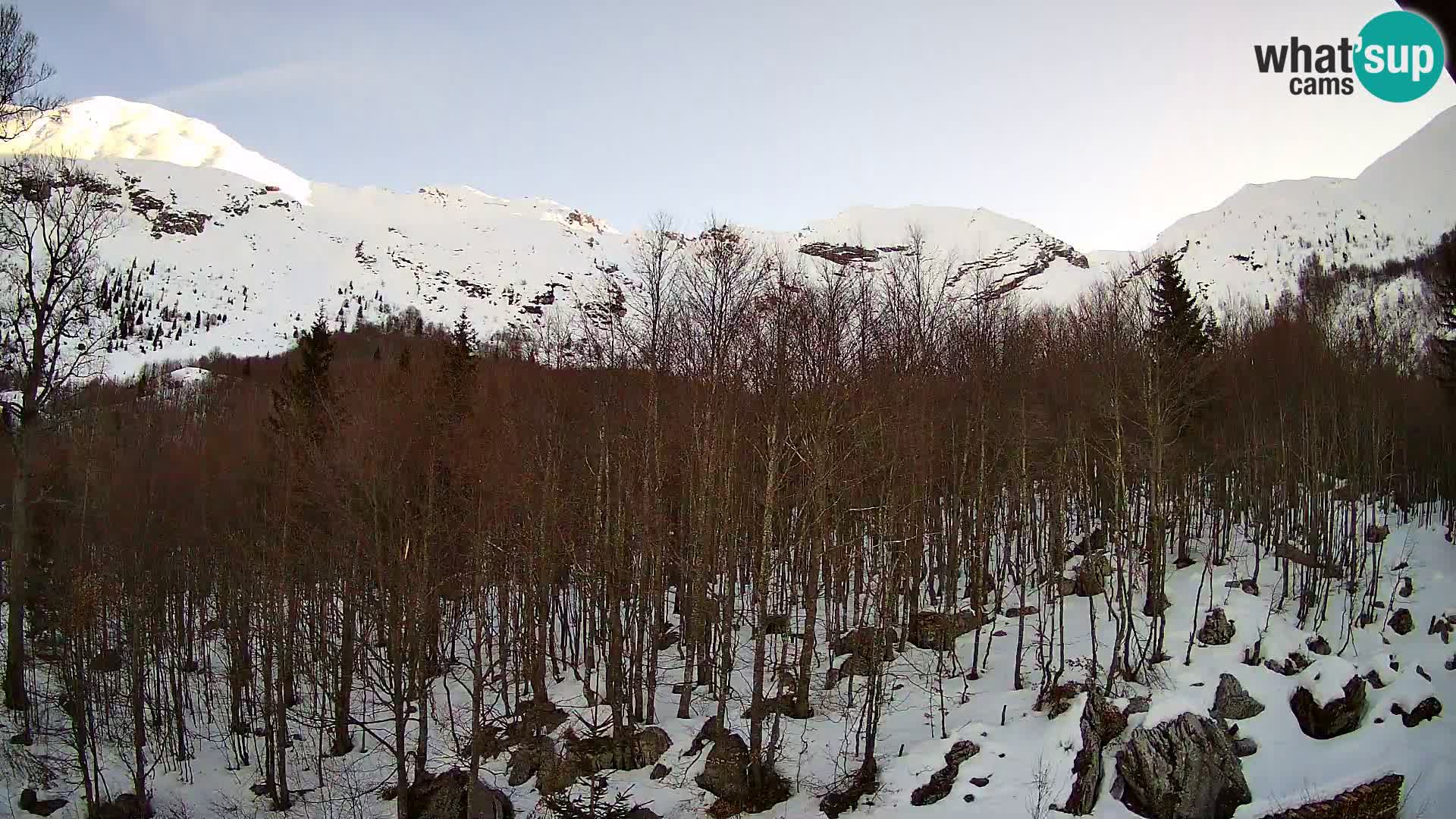 PLANINA RAZOR Live Cam (1315) | vista su Vogel e Globoko